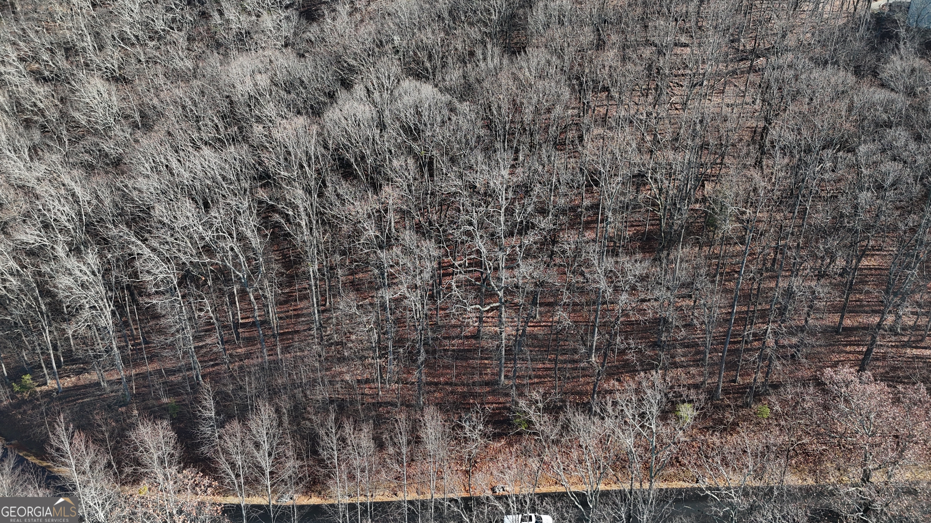 Lot 45 Mountainside Drive Property Photo 5