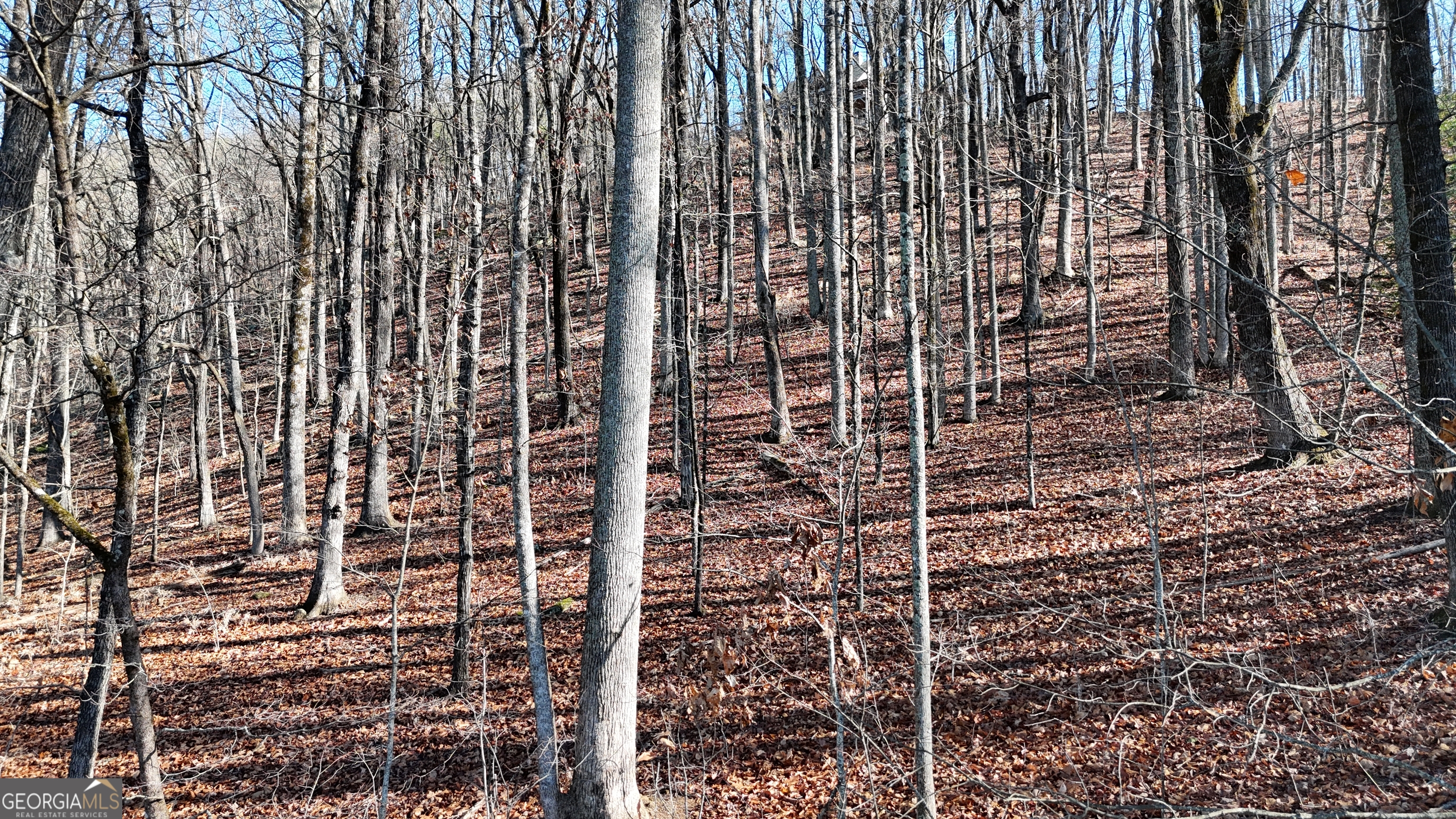 Lot 45 Mountainside Drive Property Photo 6