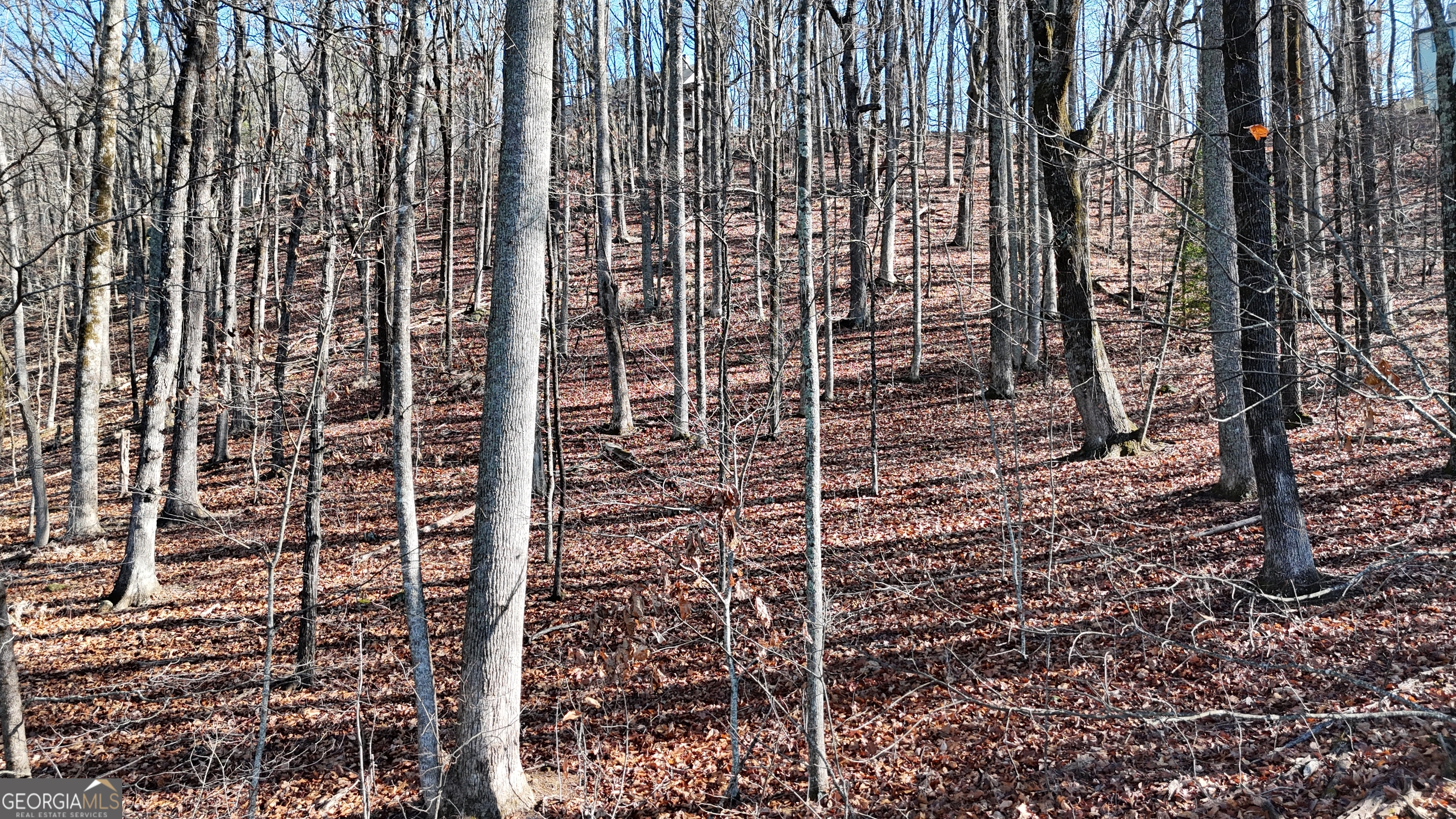 Lot 45 Mountainside Drive Property Photo 7