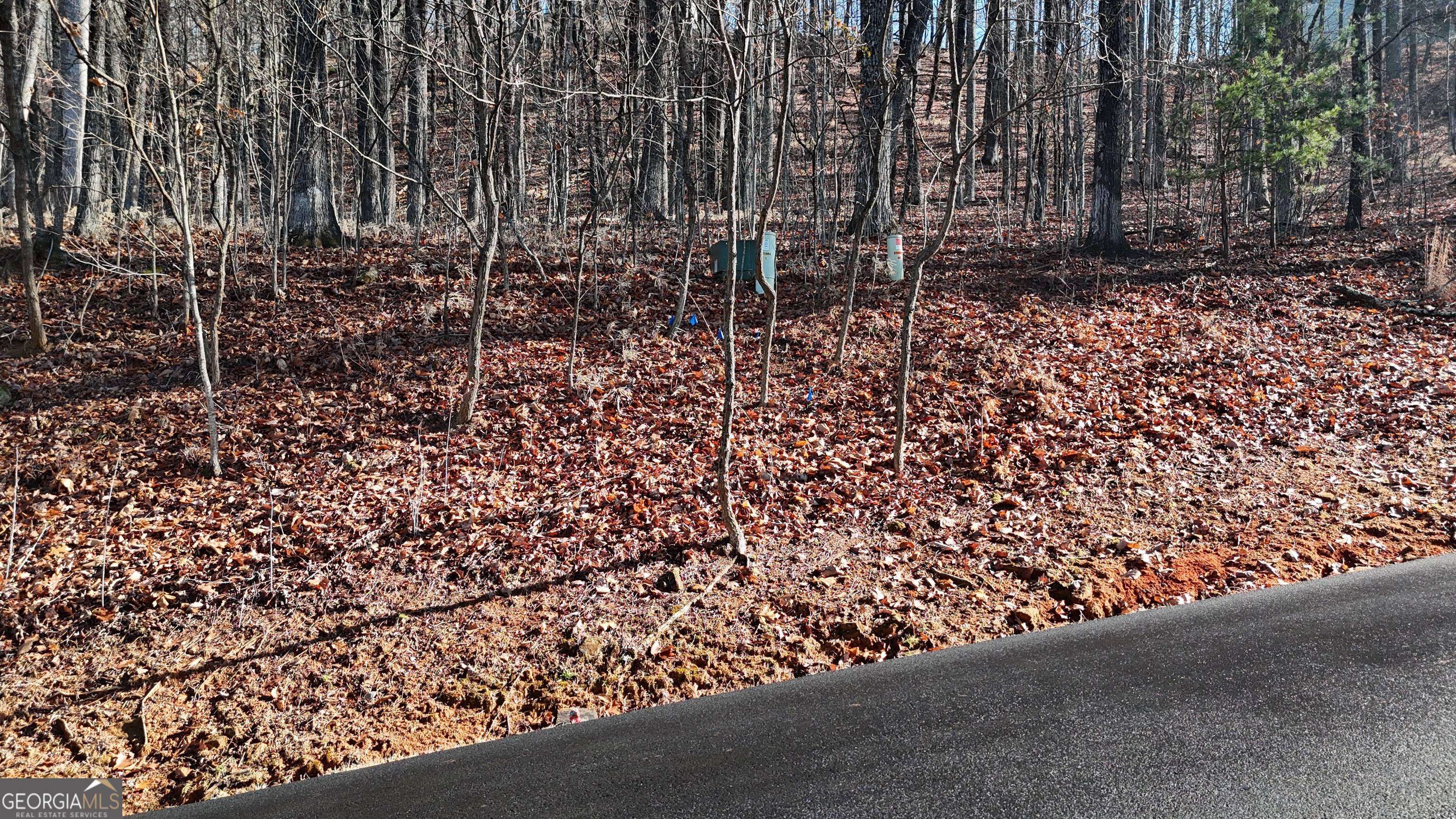 Lot 45 Mountainside Drive Property Photo 8