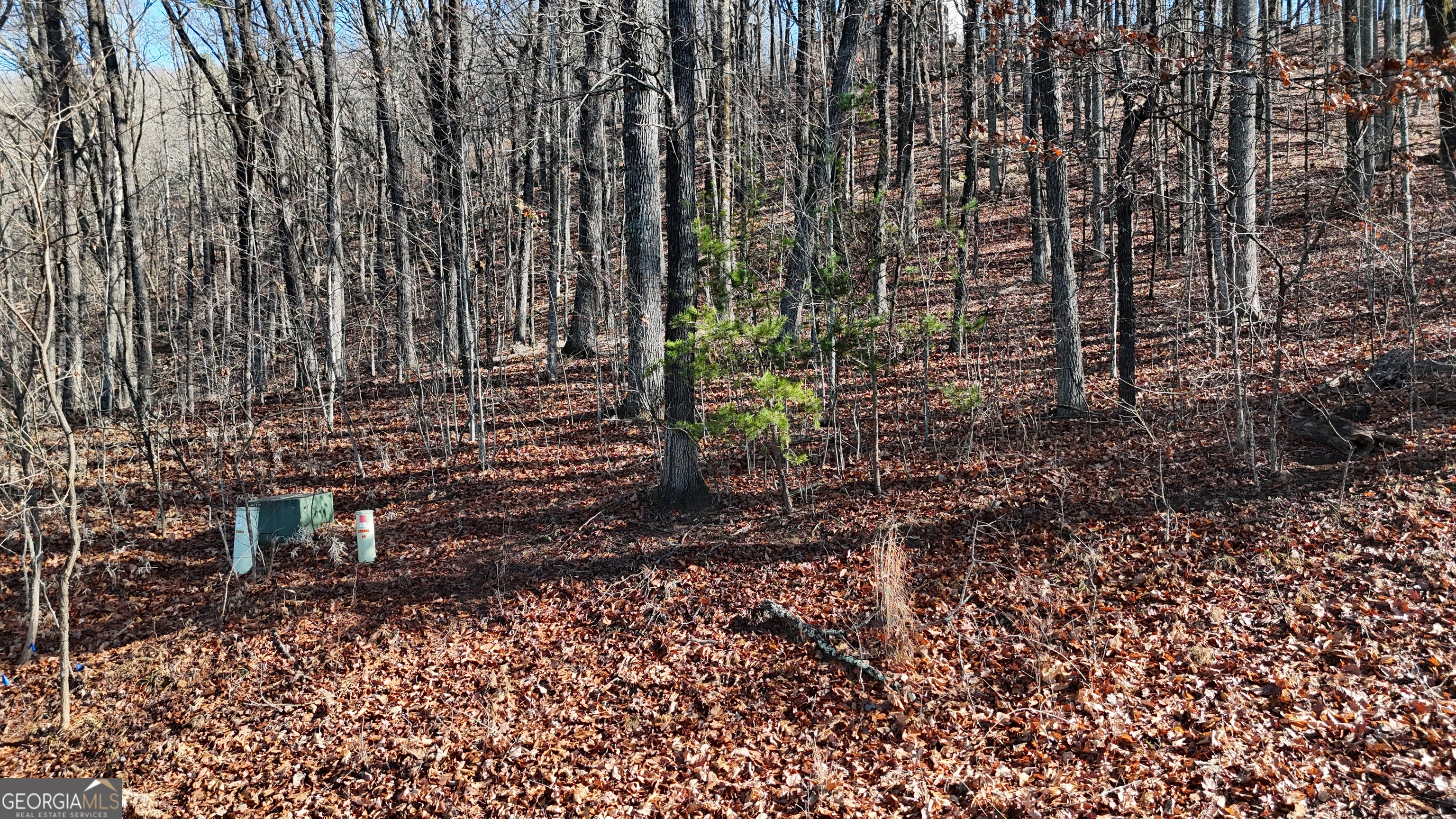 Lot 45 Mountainside Drive Property Photo 9