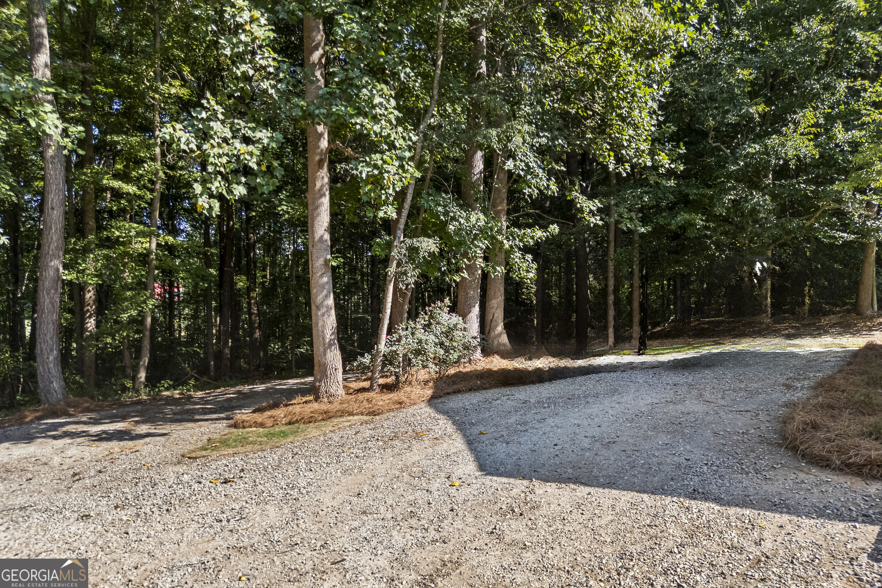 540 James Maxwell Road Property Photo 8