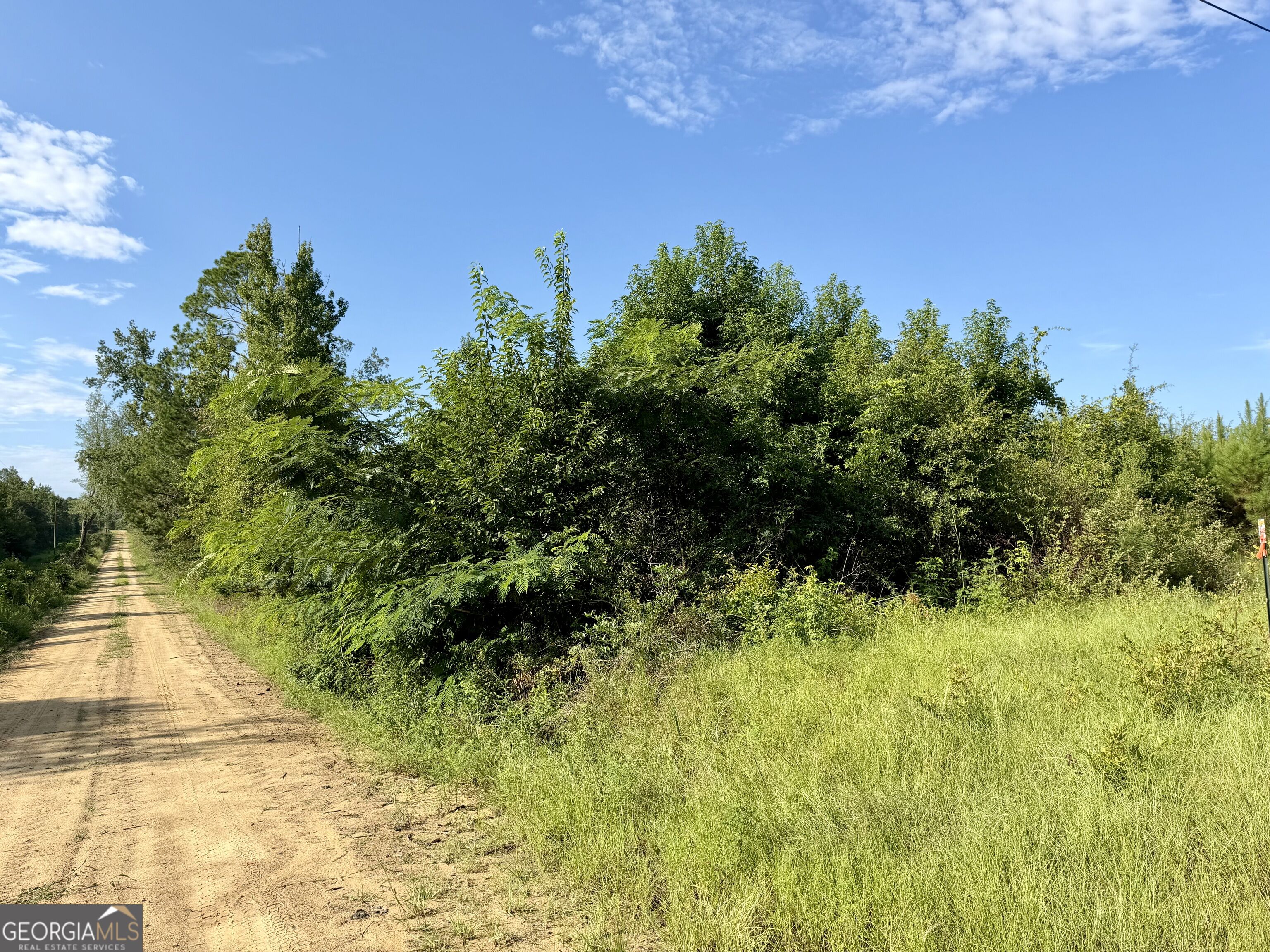 6186 Harvey Road Property Photo 14