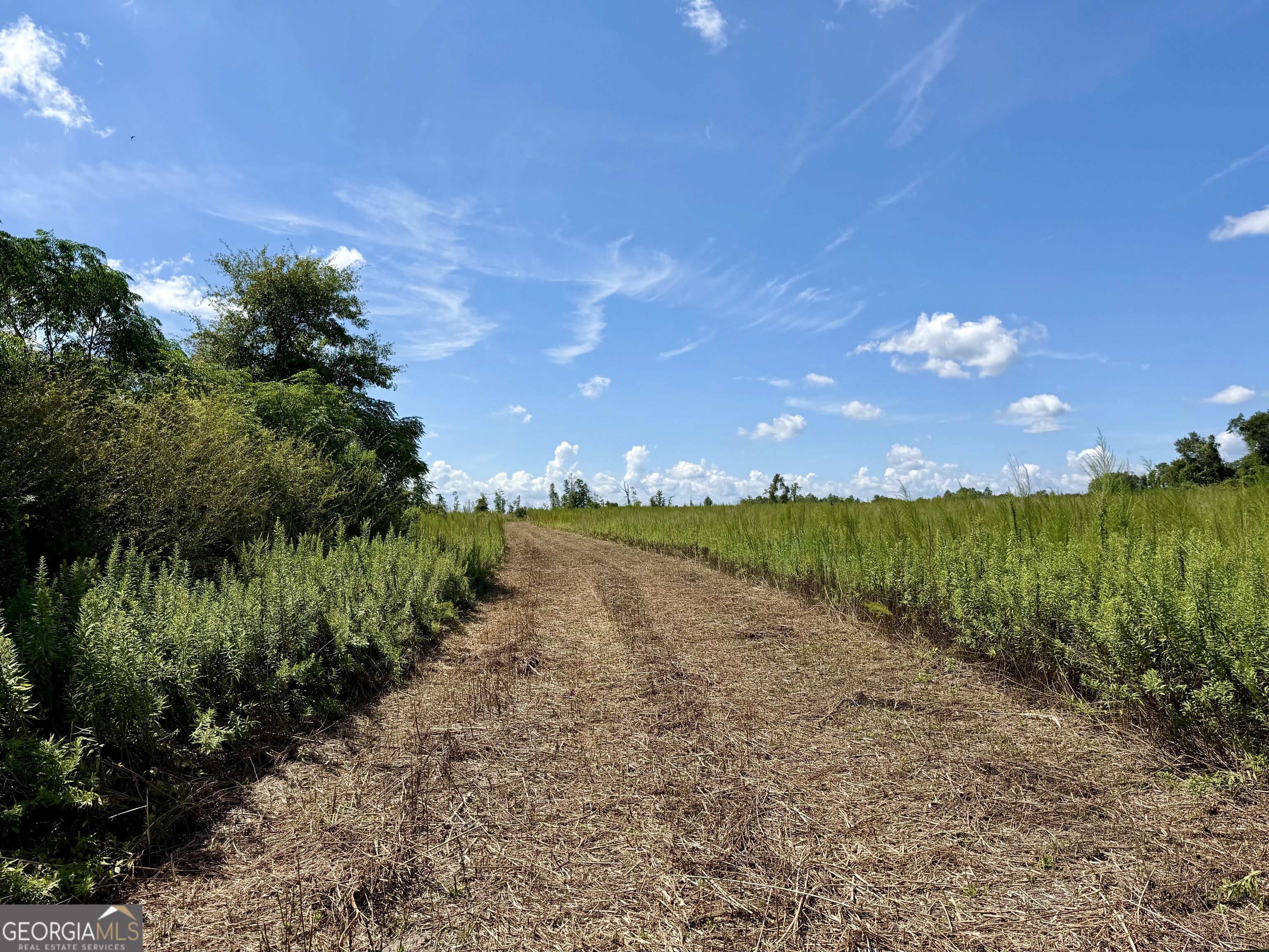 6186 Harvey Road Property Photo 15