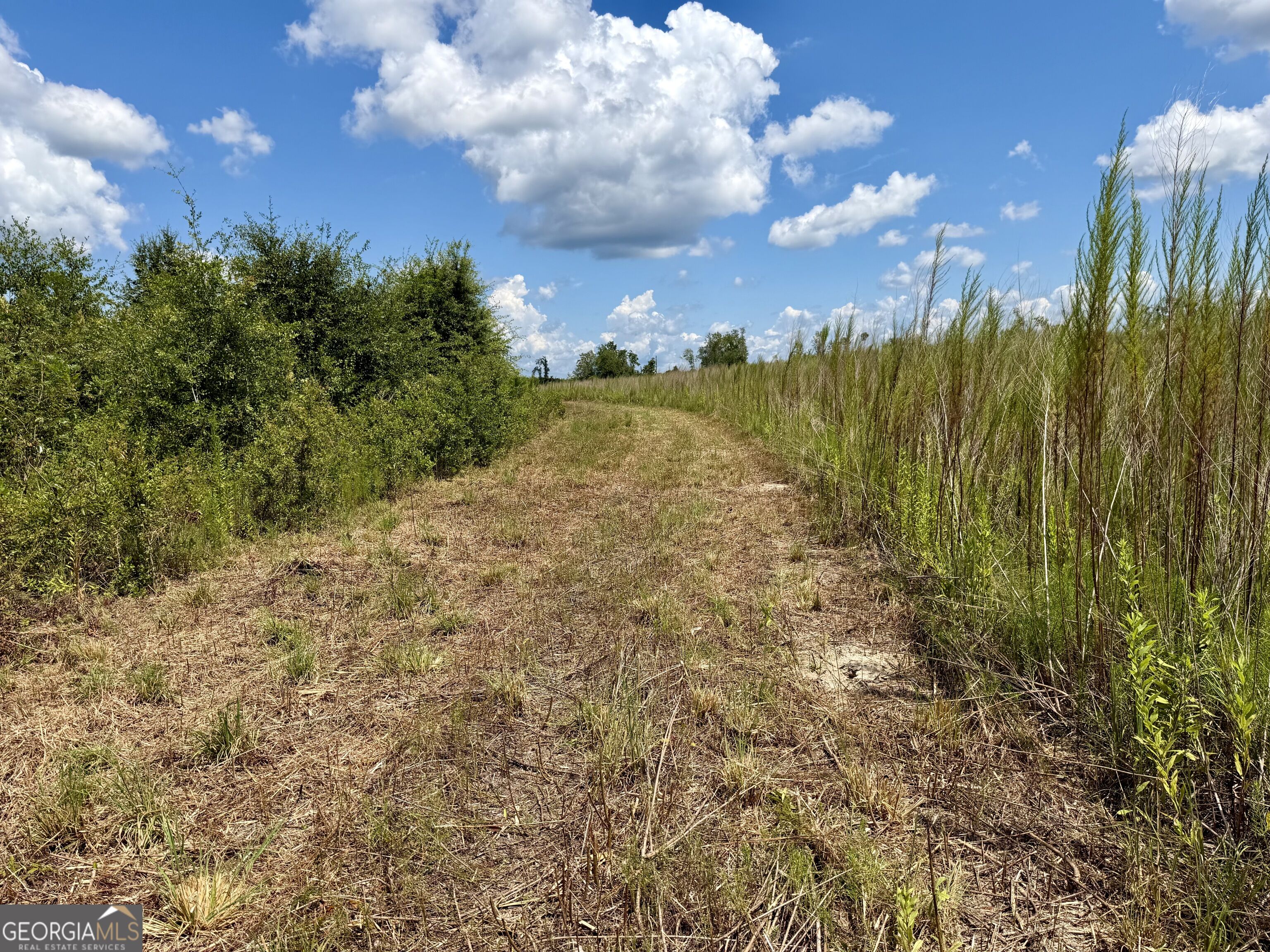 6186 Harvey Road Property Photo 16