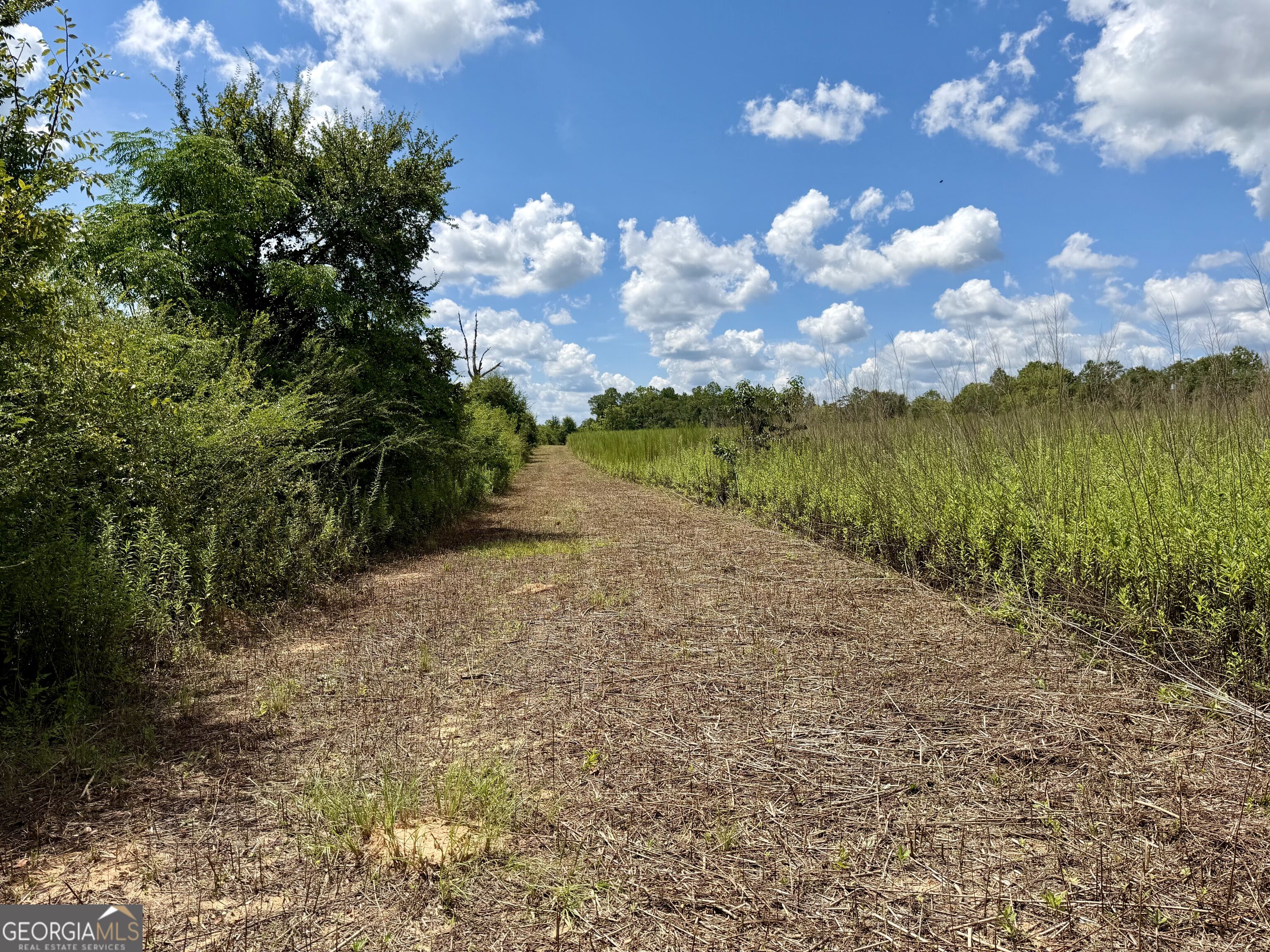 6186 Harvey Road Property Photo 17