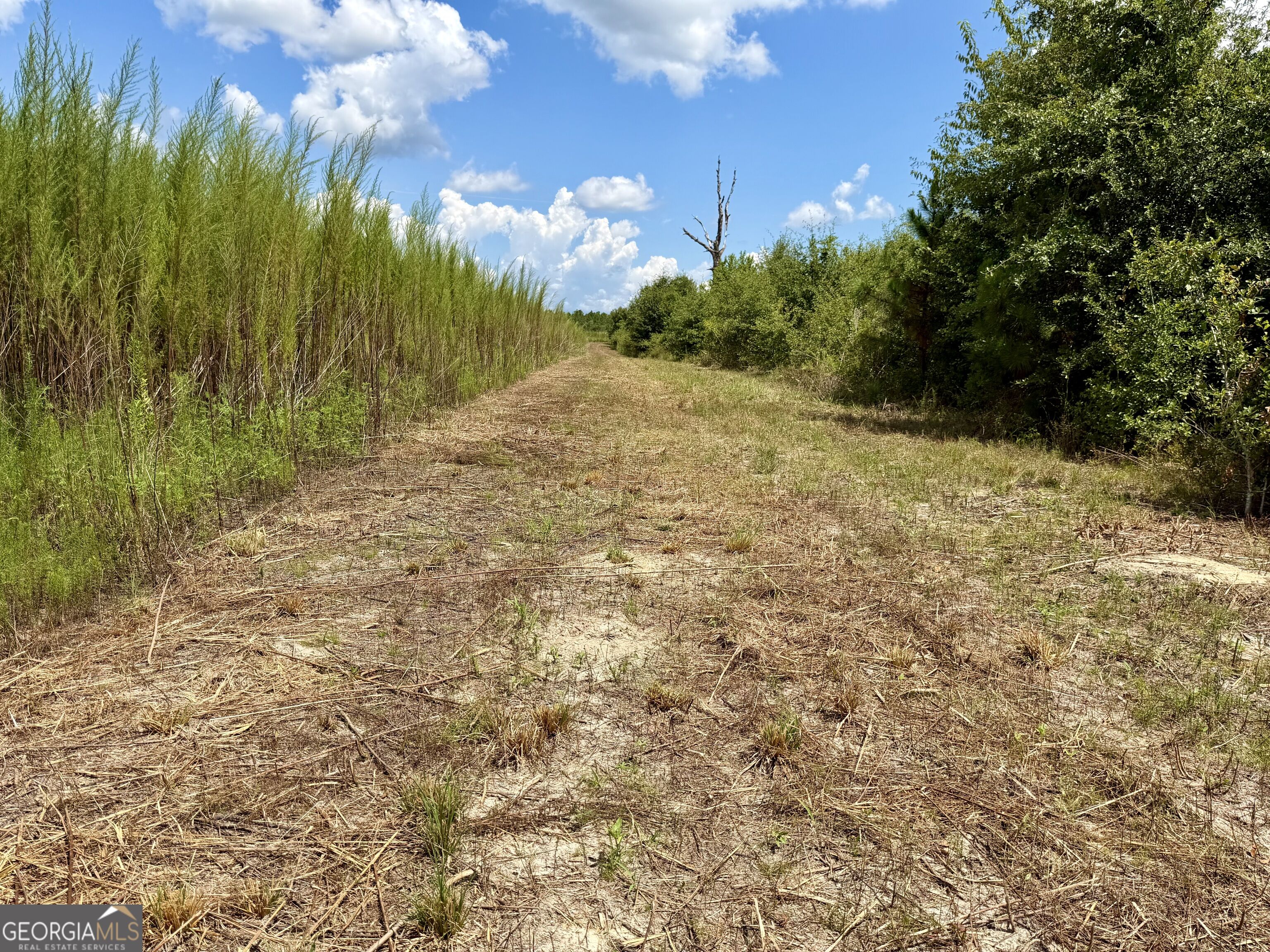 6186 Harvey Road Property Photo 18