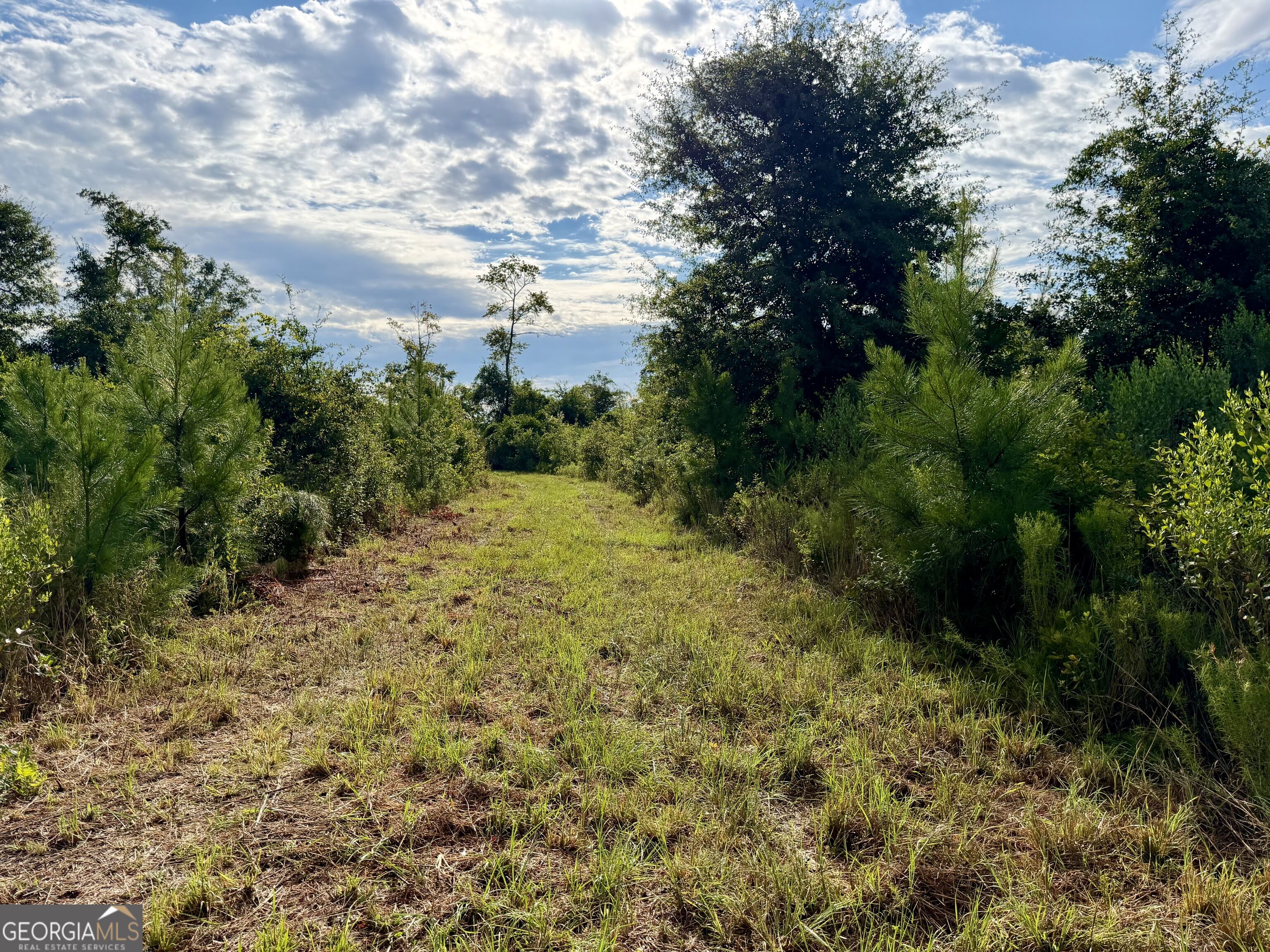 6186 Harvey Road Property Photo 20