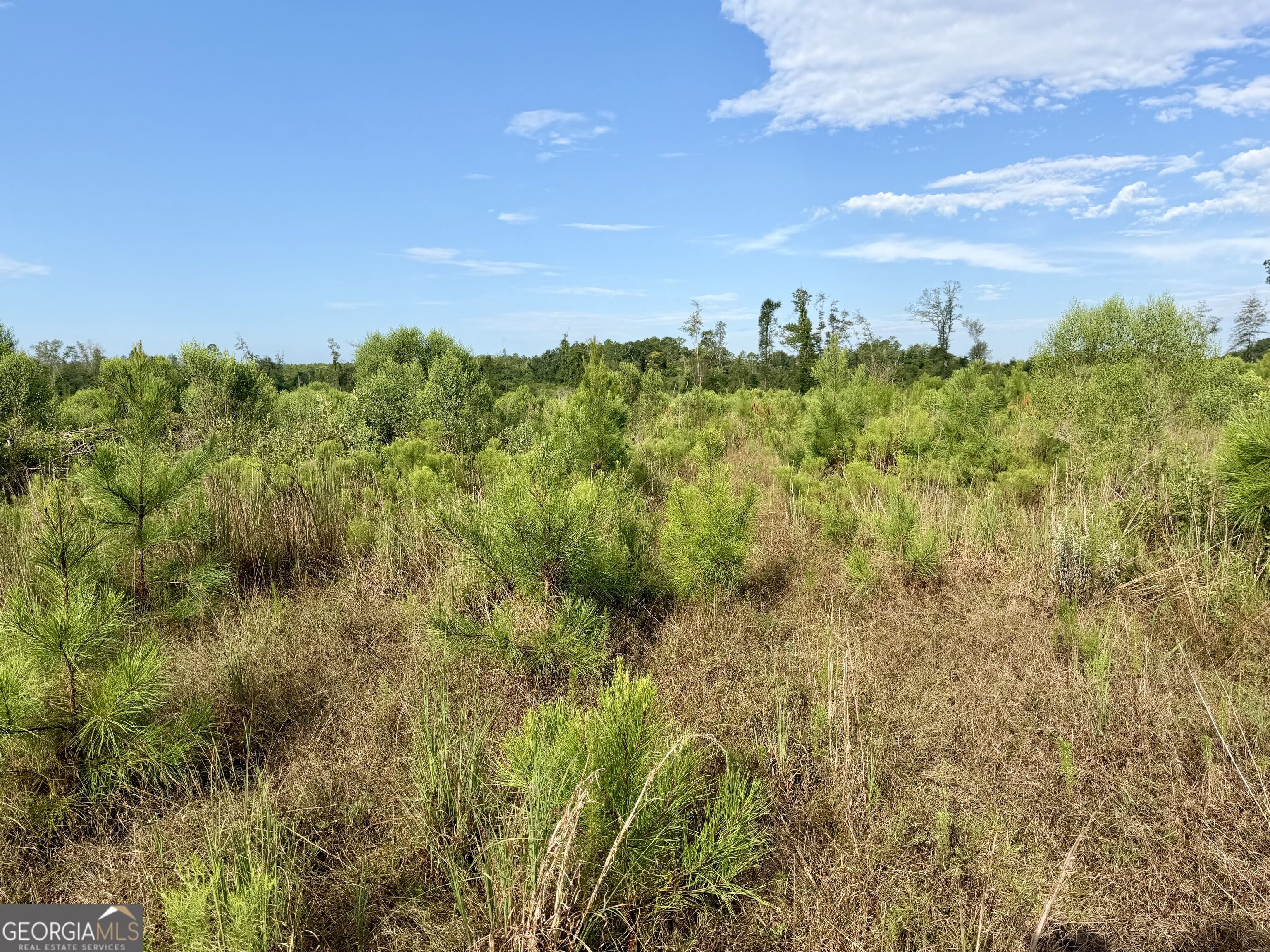 6186 Harvey Road Property Photo 23