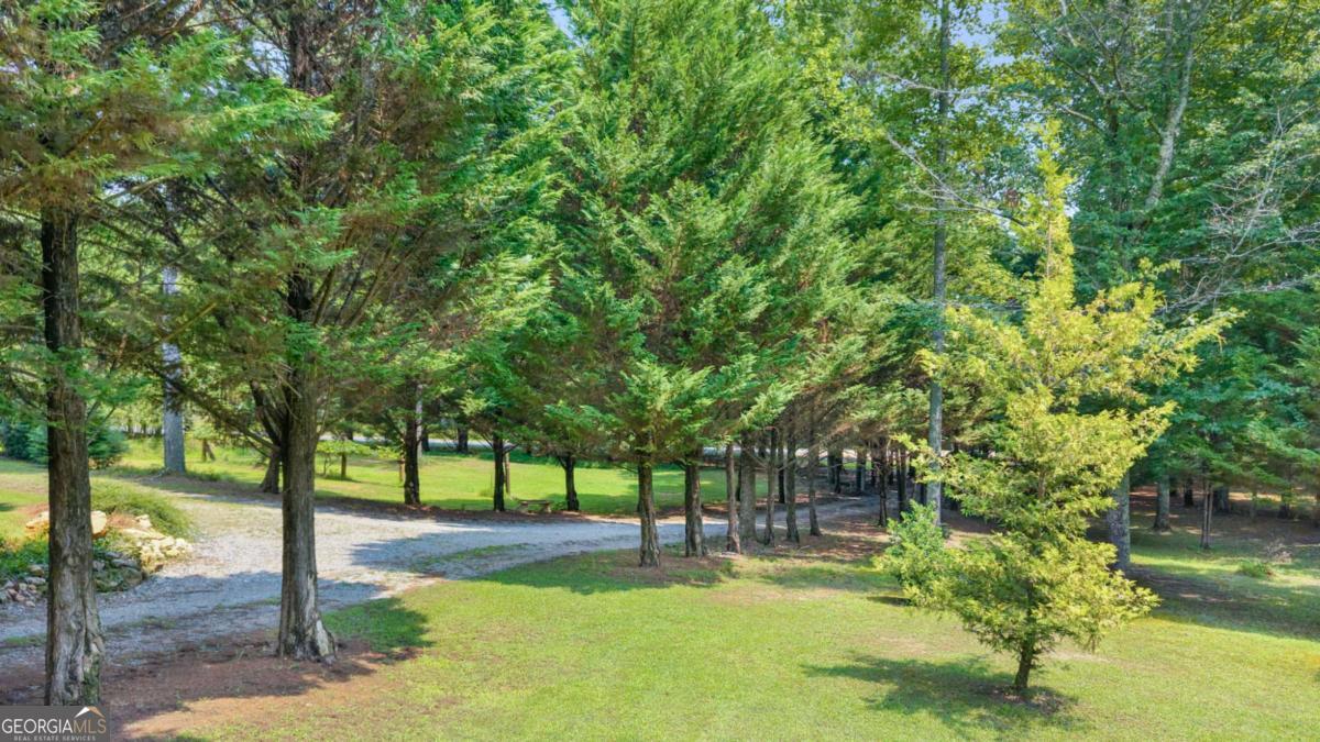 2064 Knight Road Property Photo 57