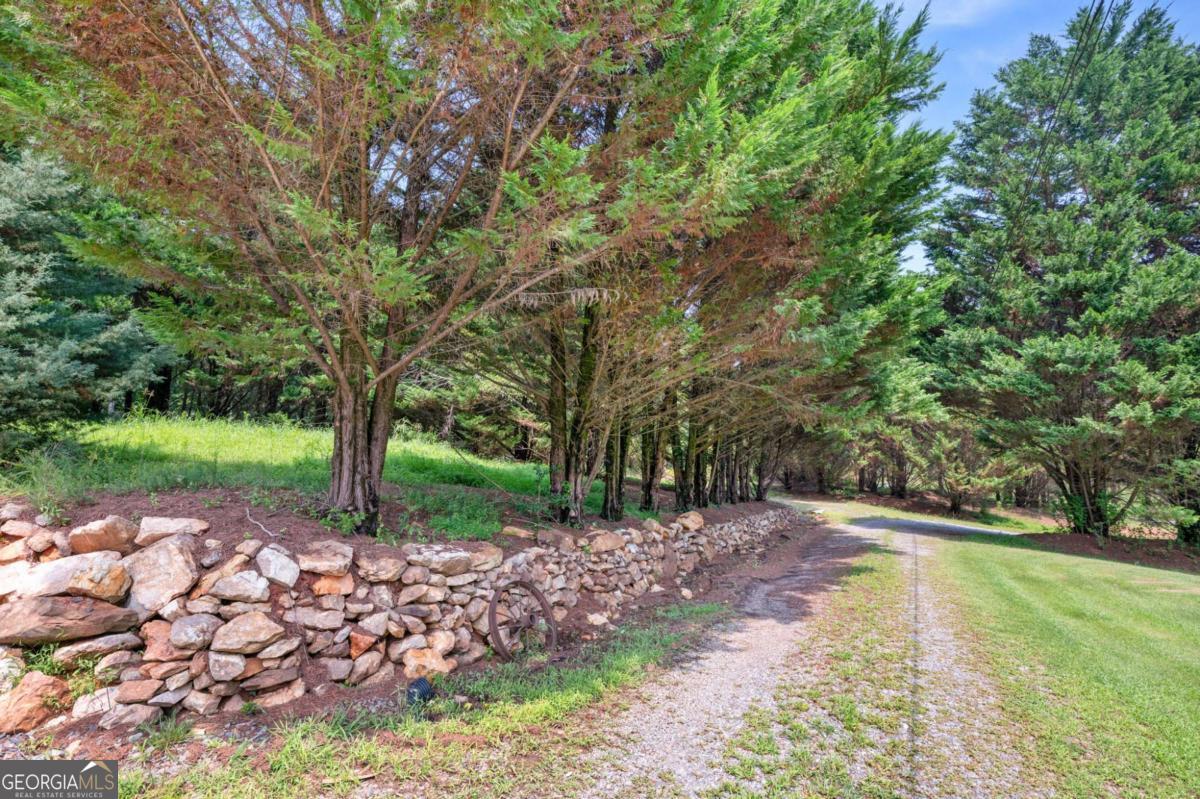 2064 Knight Road Property Photo 60