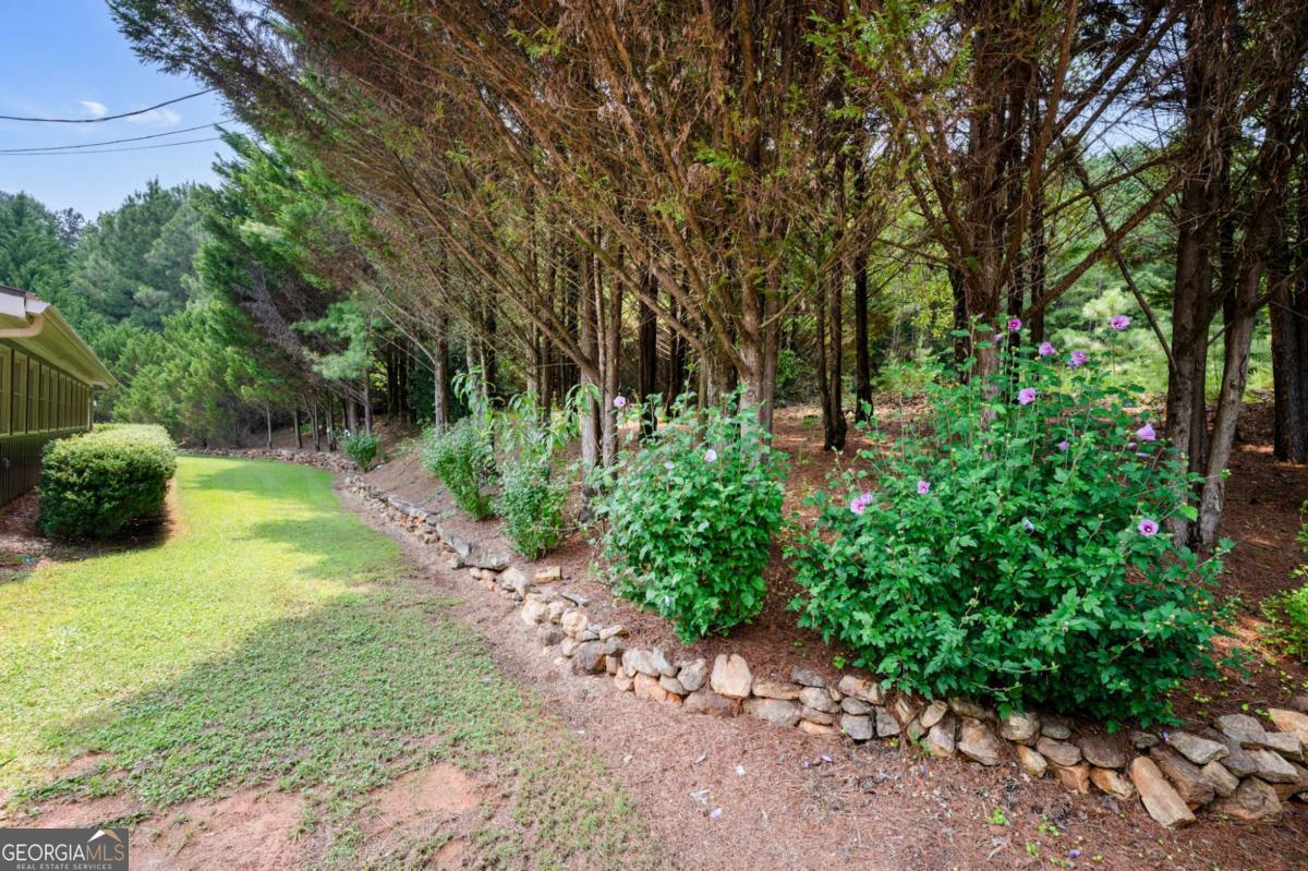 2064 Knight Road Property Photo 61