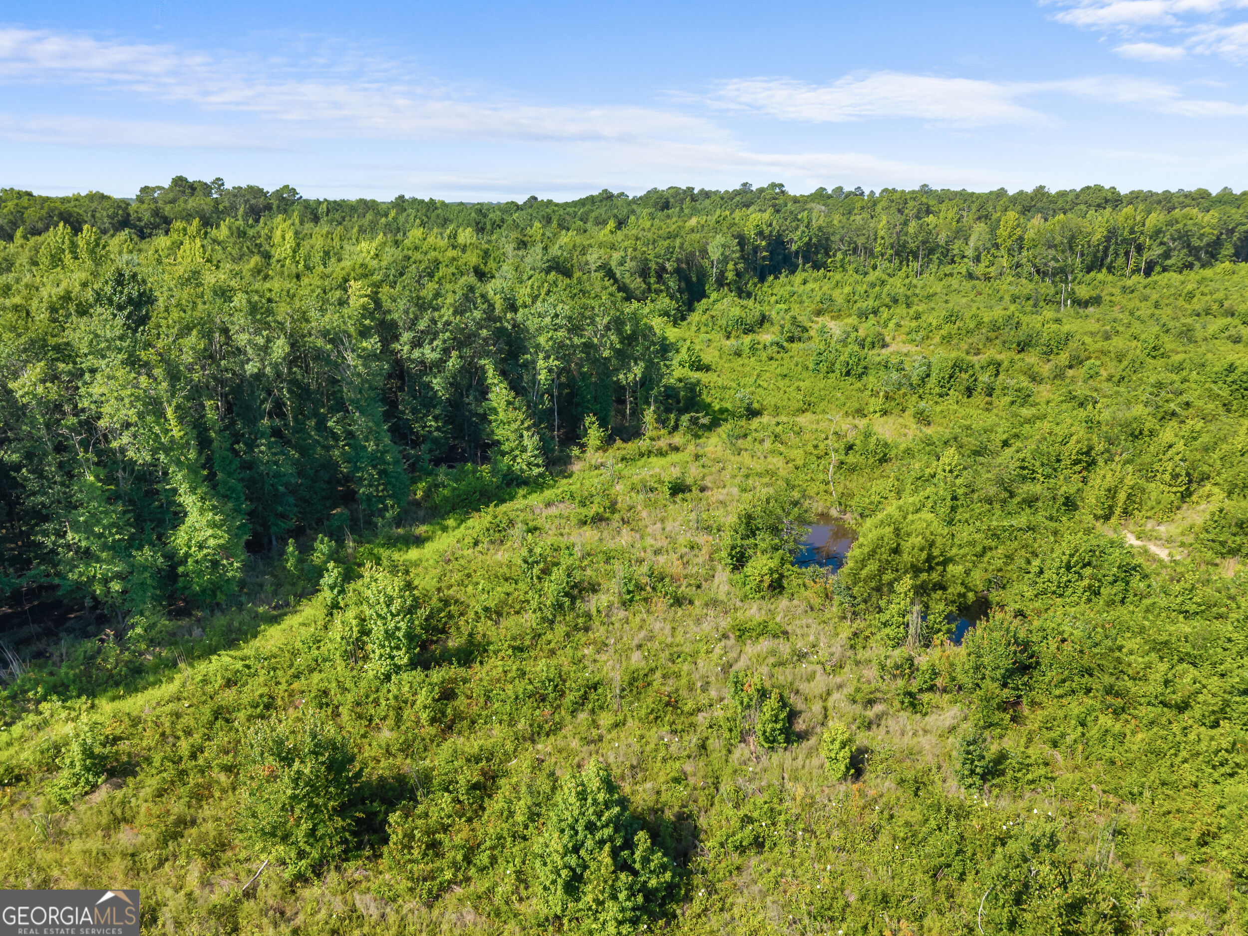 3605 Perkins Hiltonia Road Property Photo 15