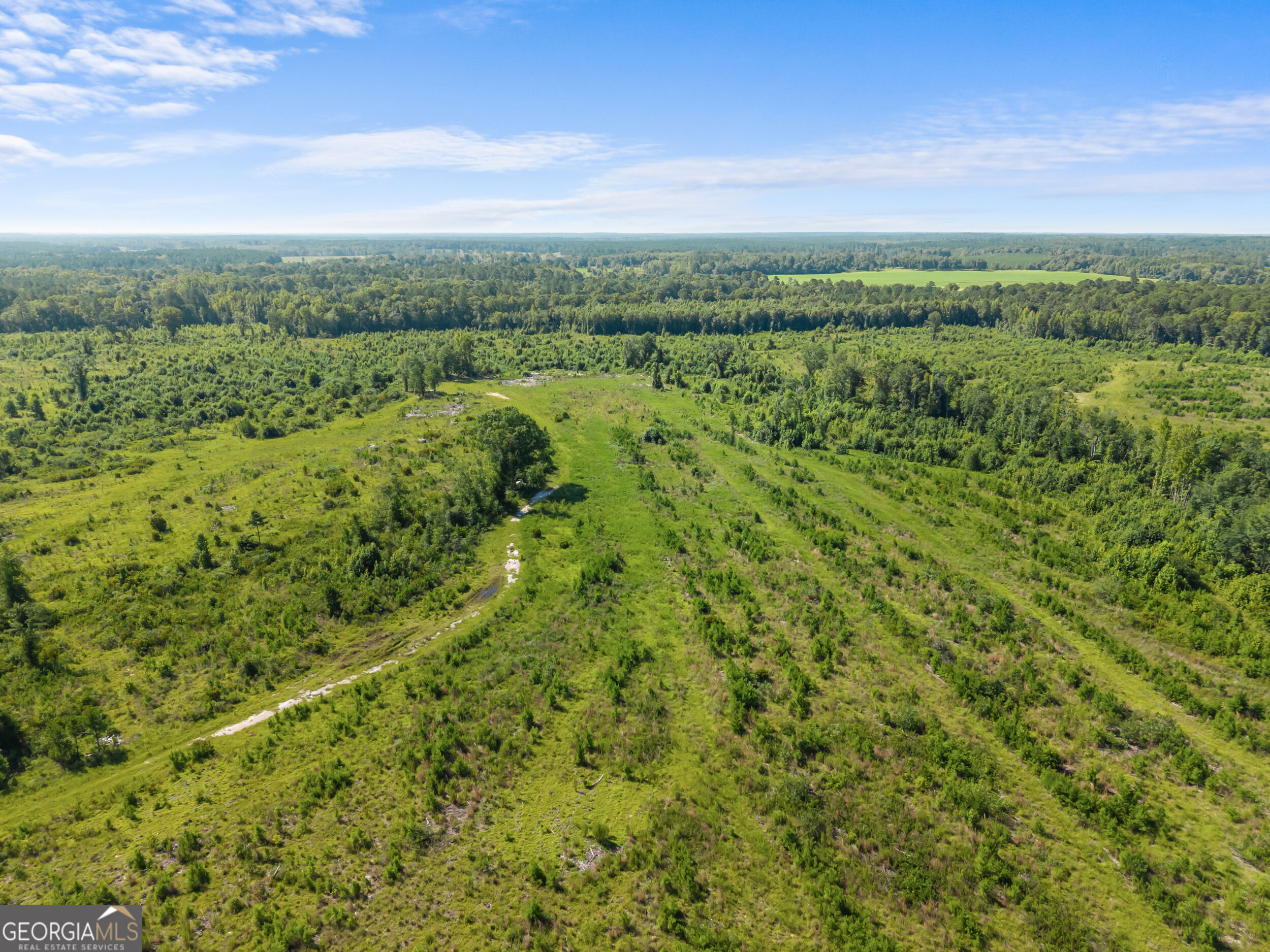 3605 Perkins Hiltonia Road Property Photo 19