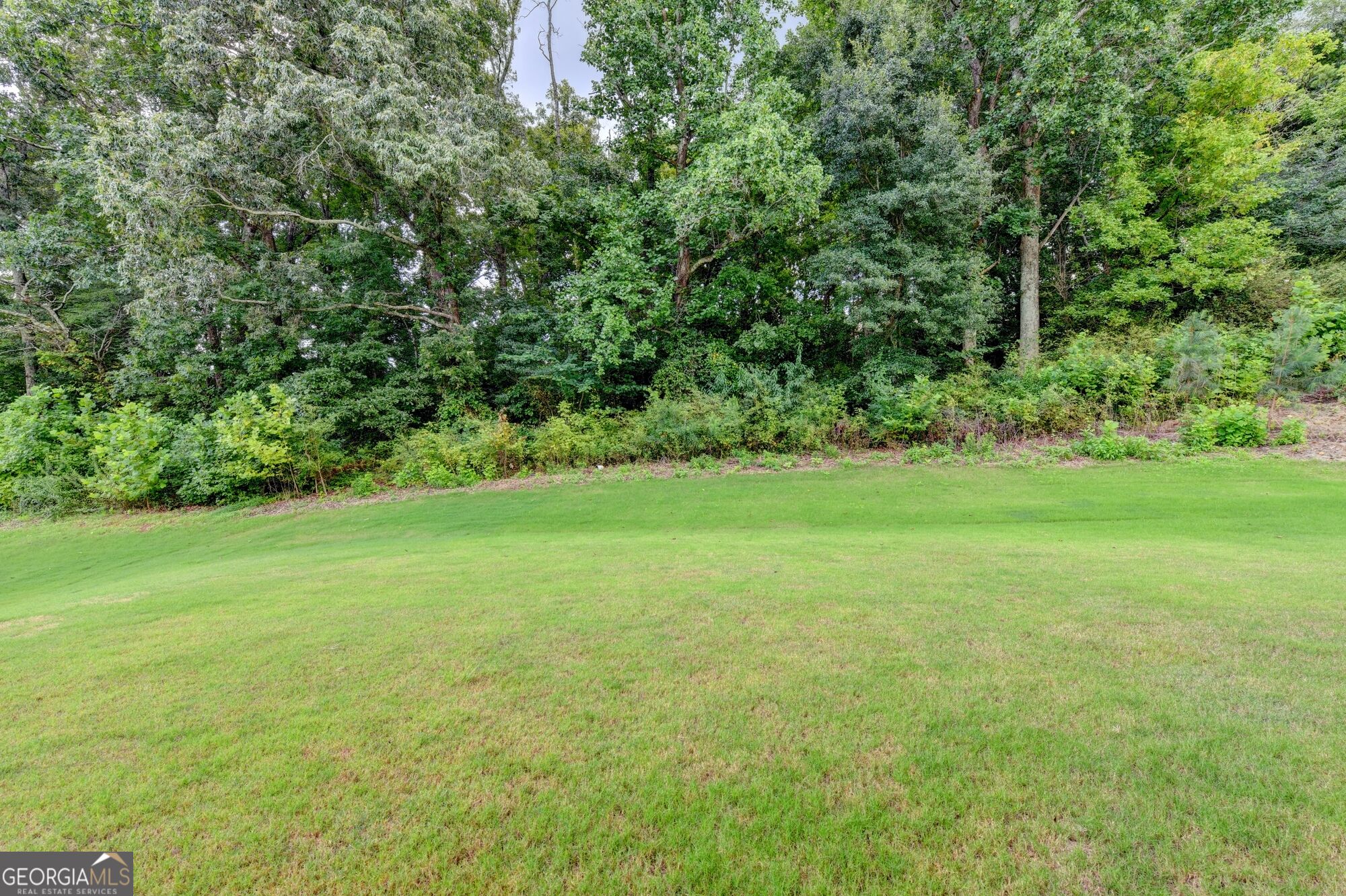 5090 Bellehurst Lane Property Photo 59