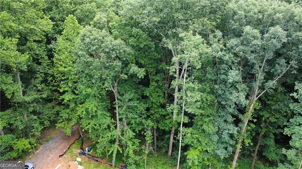 4230 Belvedere Drive Property Photo 2