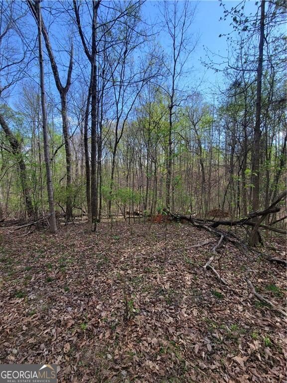 4230 Belvedere Drive Property Photo 3