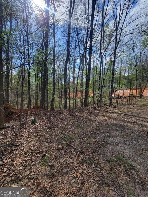 4230 Belvedere Drive Property Photo 4