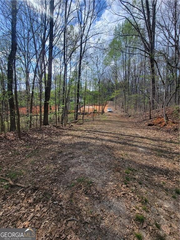 4230 Belvedere Drive Property Photo 14