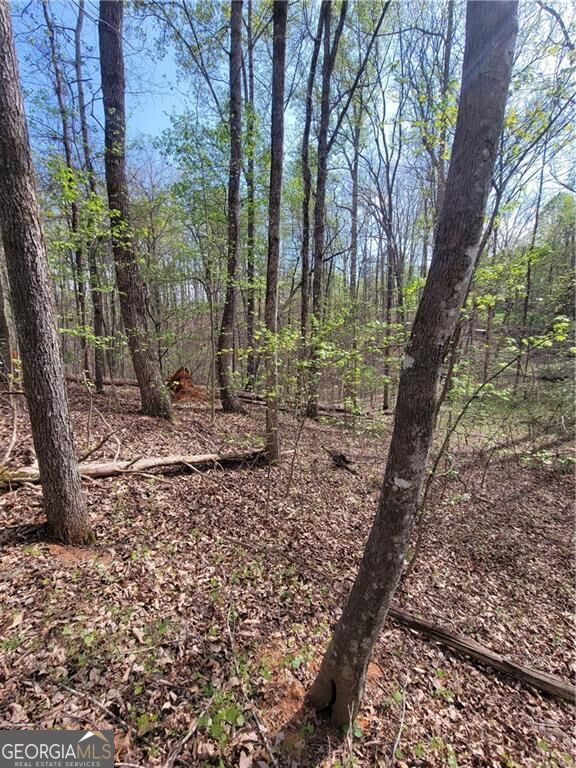 4230 Belvedere Drive Property Photo 15