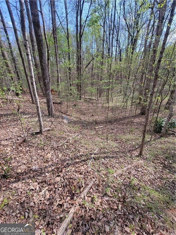 4230 Belvedere Drive Property Photo 16