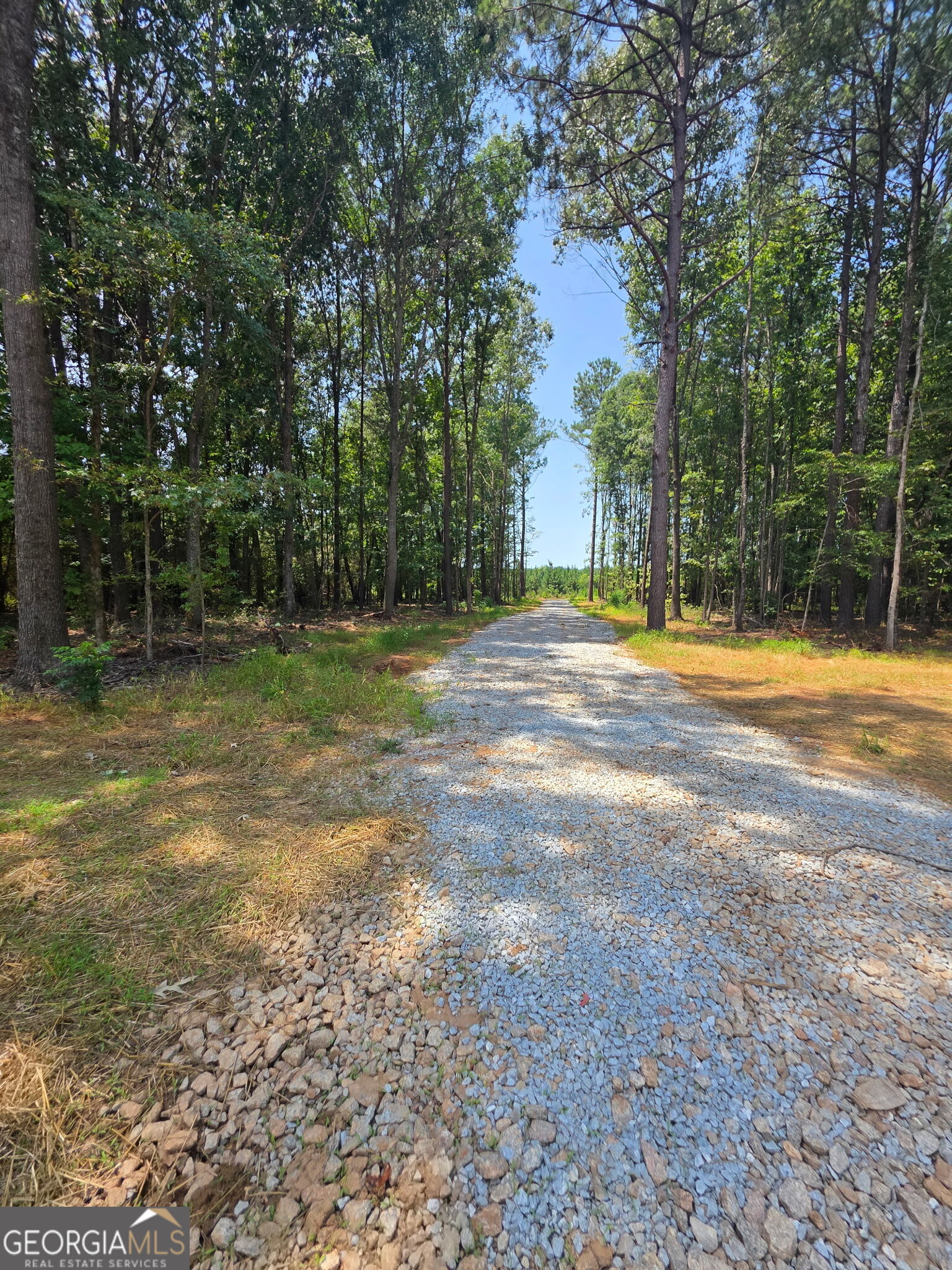 5133 C M Copelan Road Property Photo 20
