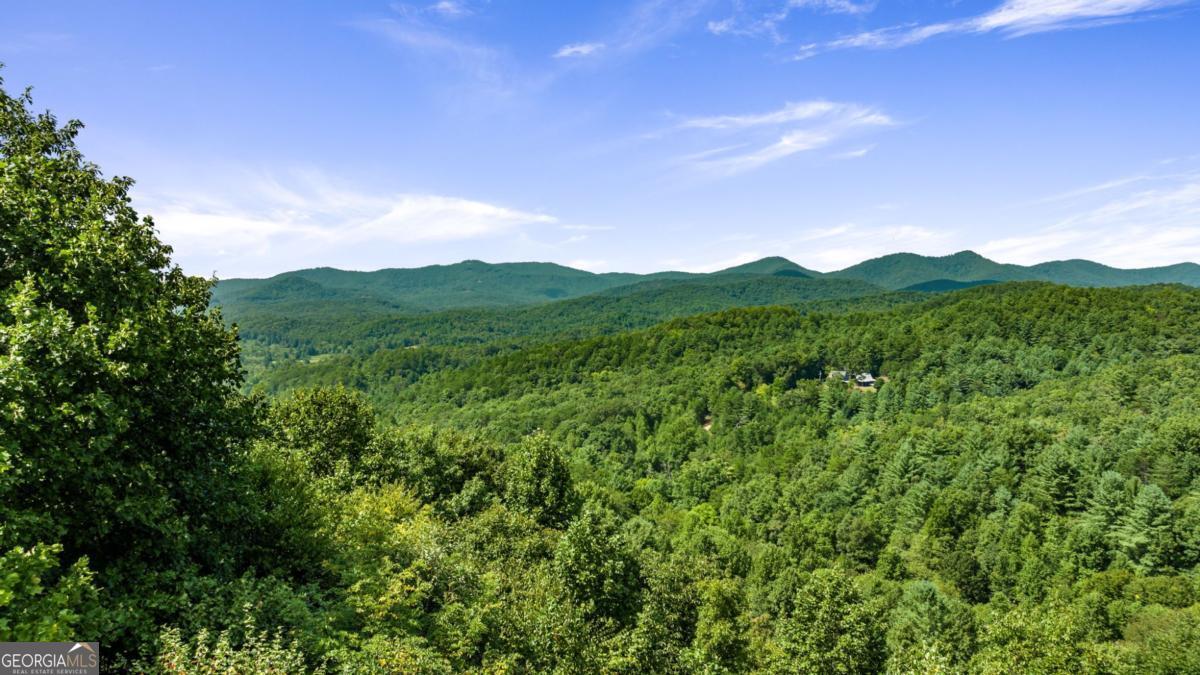 469 Mountain High Drive Property Photo 45