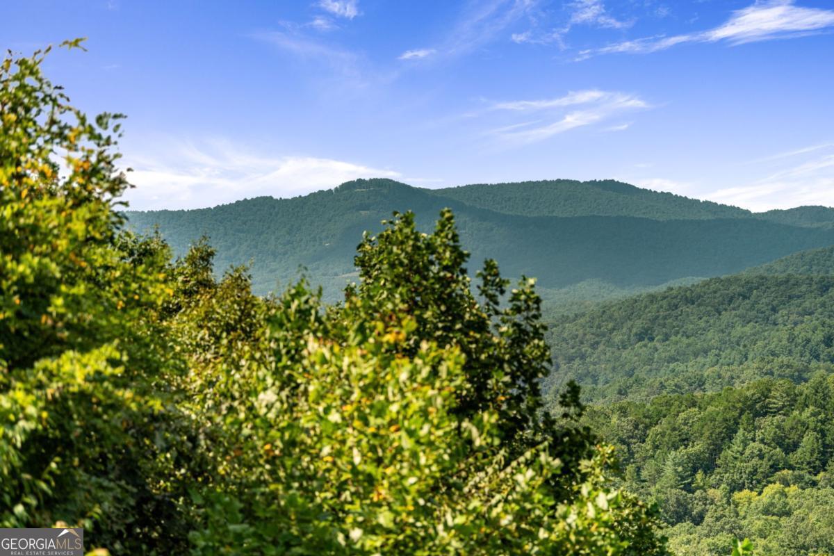 469 Mountain High Drive Property Photo 50