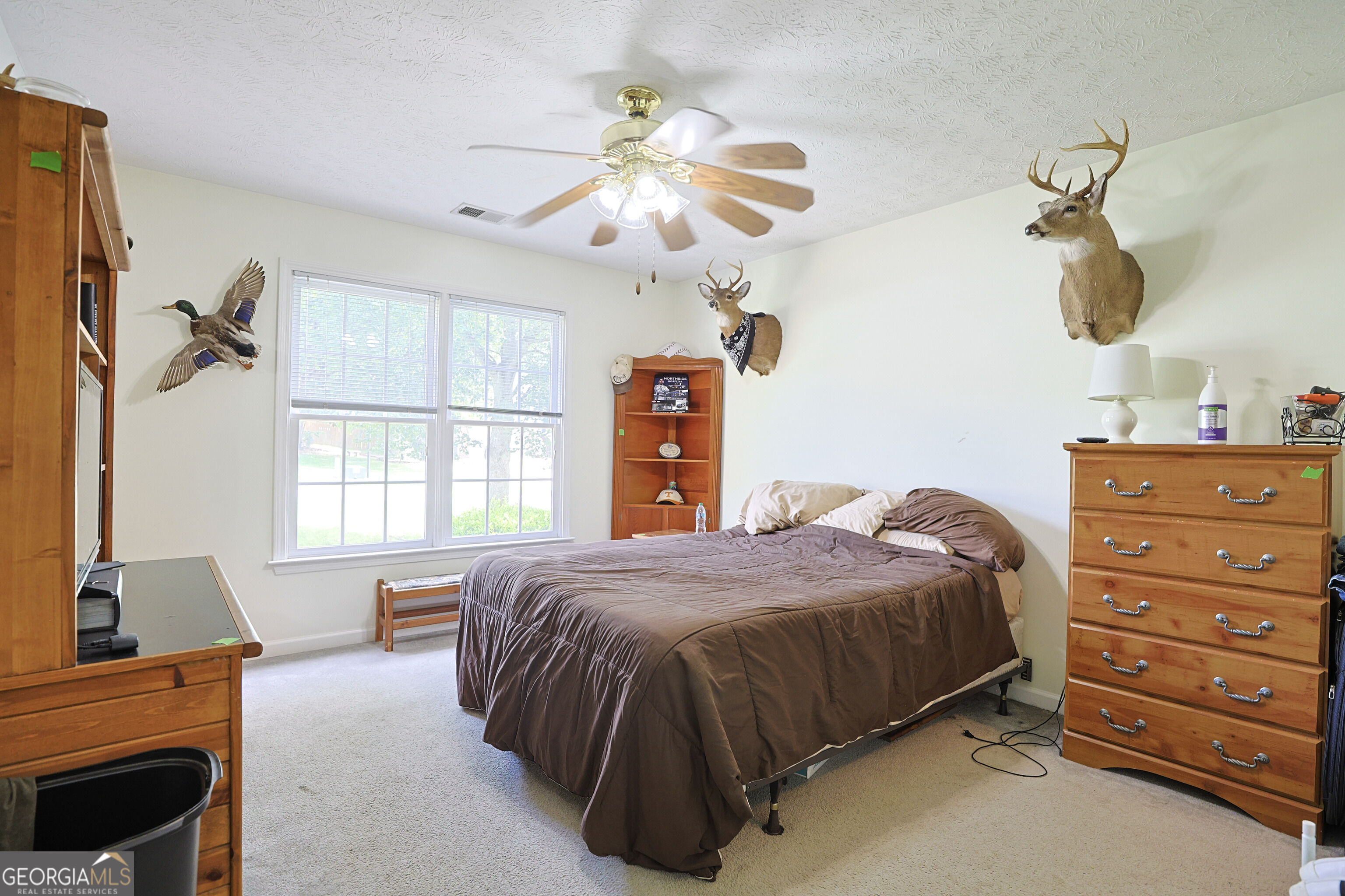 2015 Harfield Court Property Photo 24