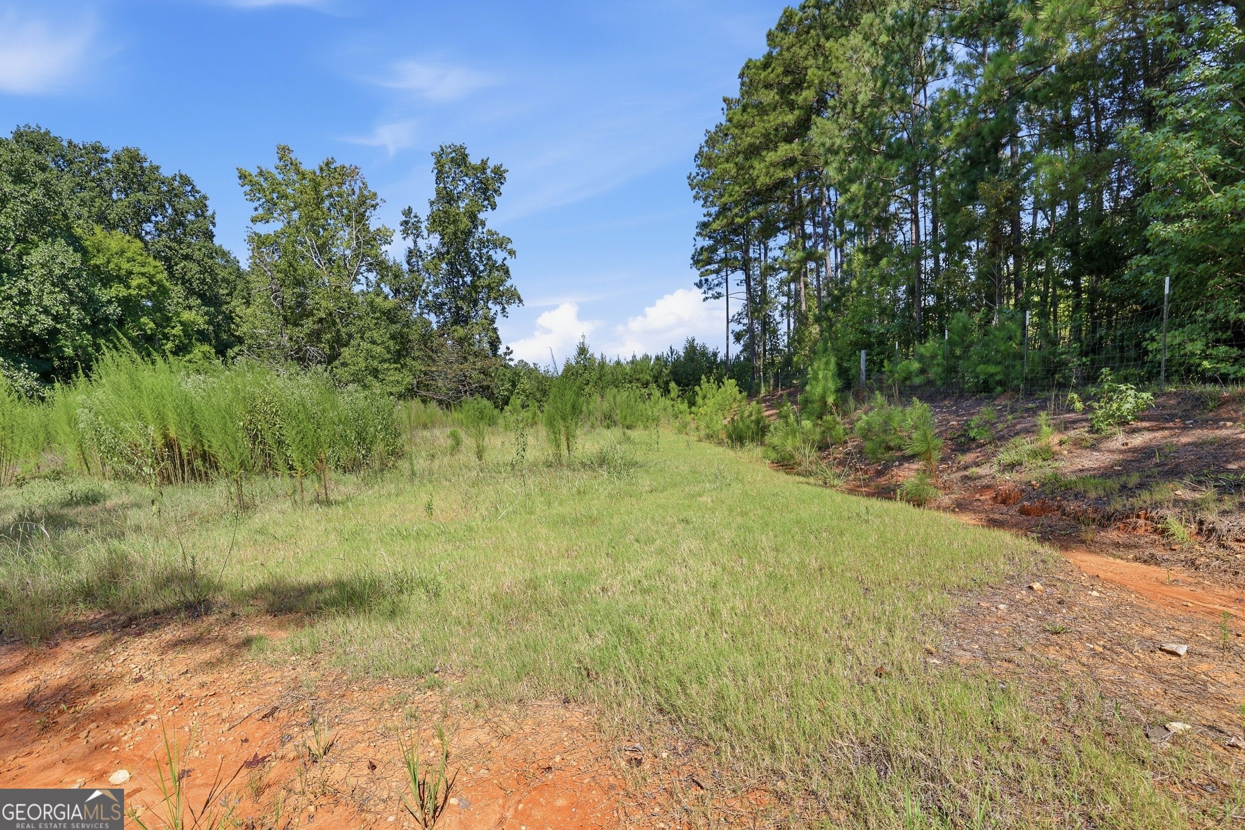 1100 Bodie Rayle Road Property Photo 43