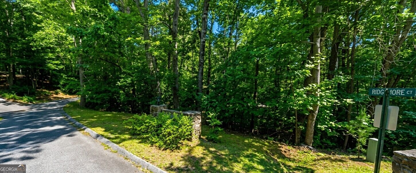 0 Ridgemore Circle Lot 8a Property Photo 1