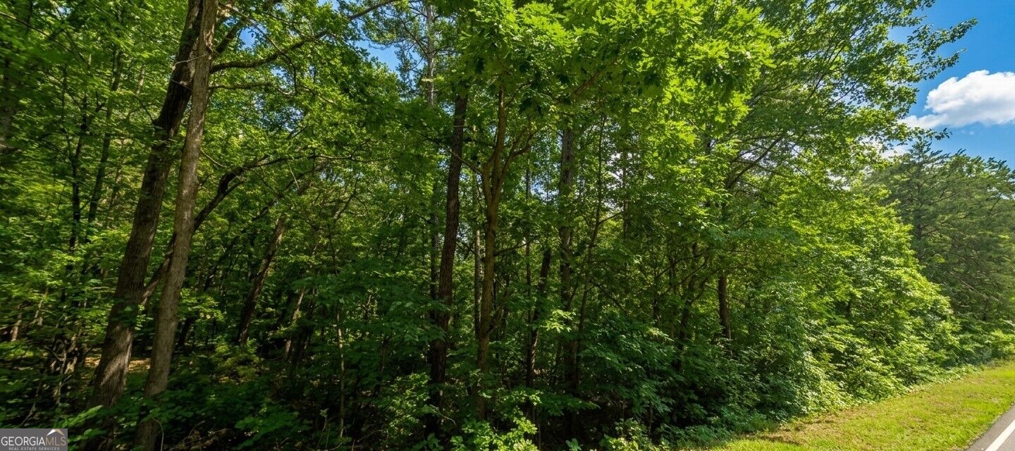 0 Ridgemore Circle Lot 8a Property Photo 3