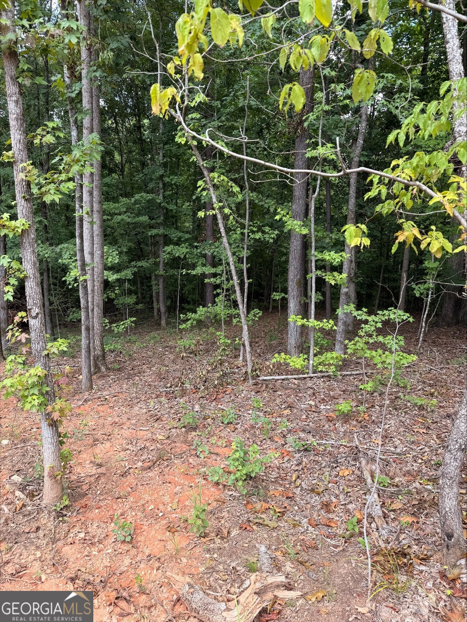 1270 Cunningham Road Property Photo 2