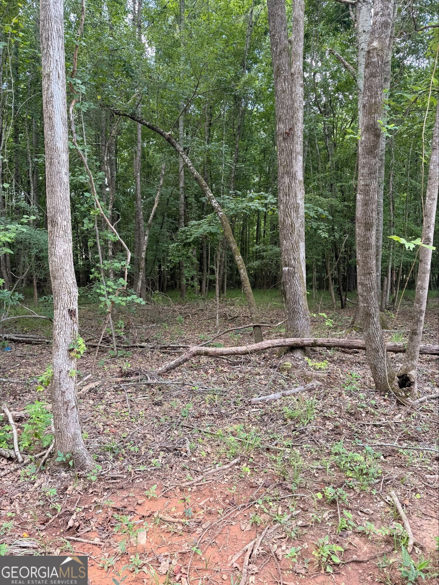 1270 Cunningham Road Property Photo 4