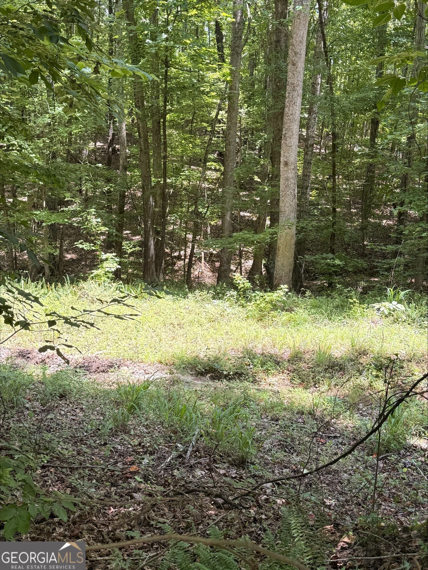 1270 Cunningham Road Property Photo 7