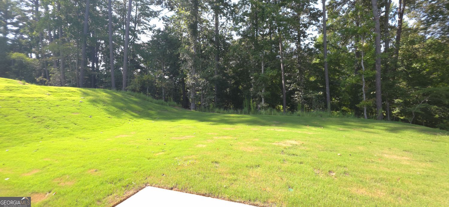 523 Grover Street Property Photo 17