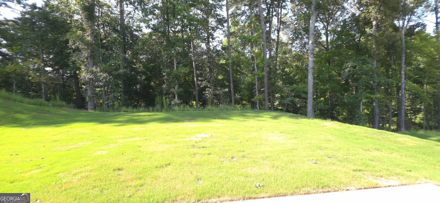 523 Grover Street Property Photo 18