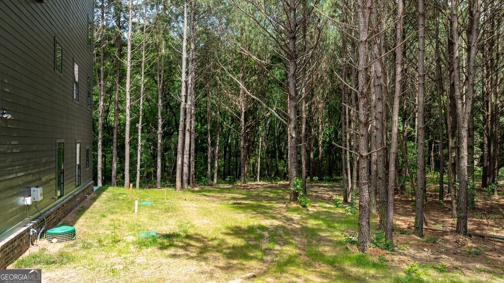 3279 Tommy Dillard Road Property Photo 6
