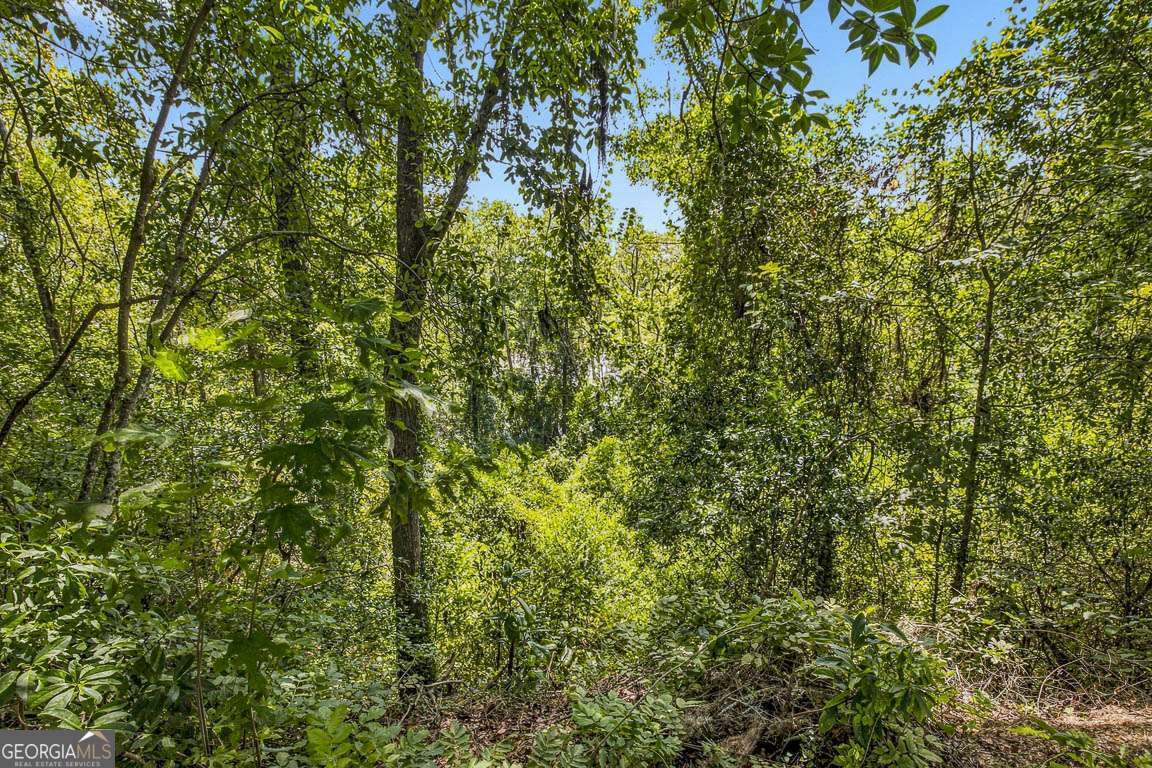 714 Altamaha Road Property Photo 44