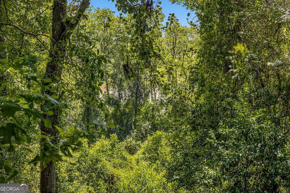 714 Altamaha Road Property Photo 45