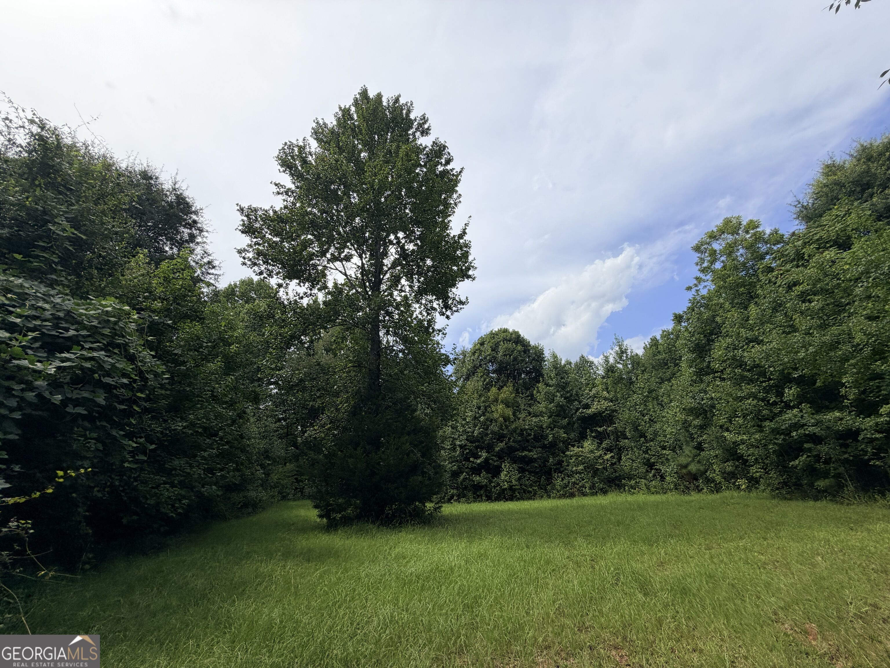 161 Mount Bethel Road Property Photo 172