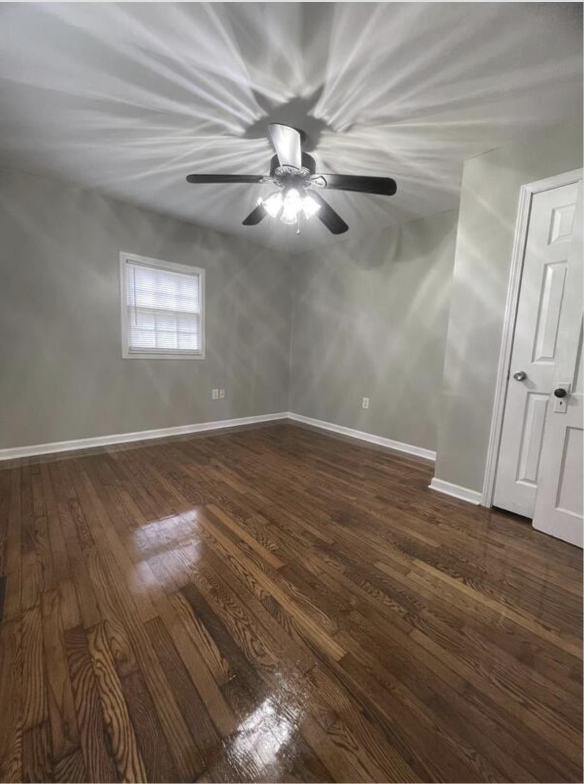 7 Emory Street Property Photo 10