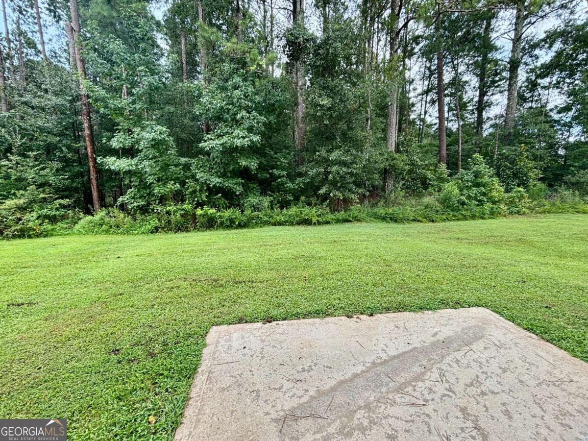 629 Carlton Pointe Drive Property Photo 20