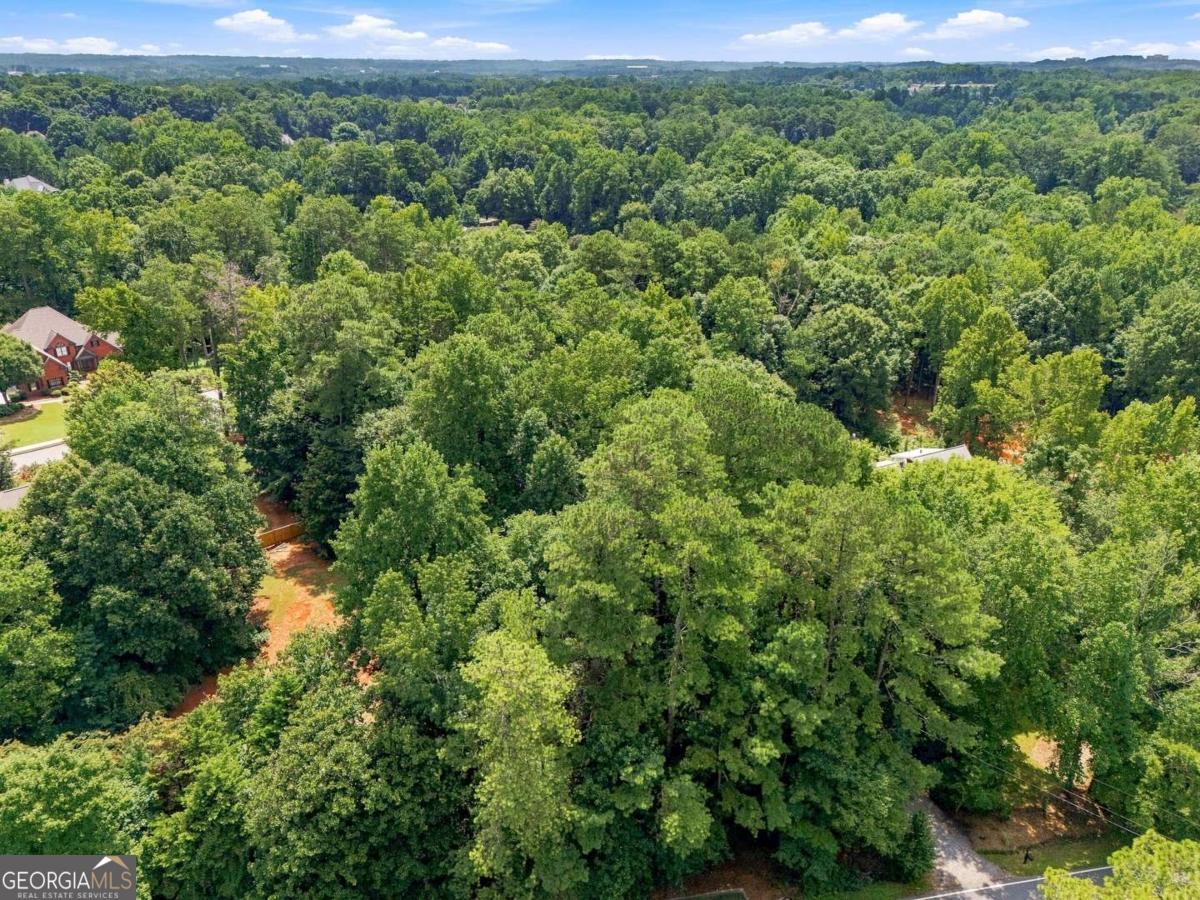 13405 Cogburn Road Property Photo 4
