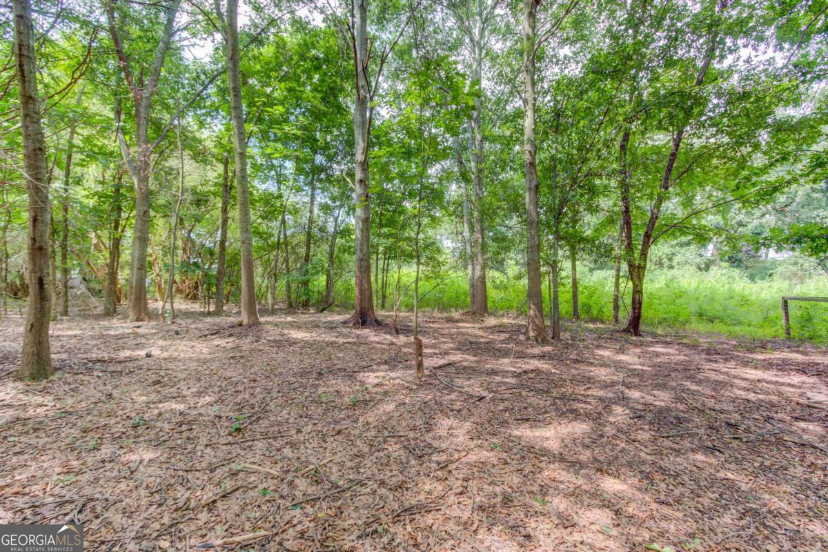 418 Starrs Bridge Road Property Photo 29