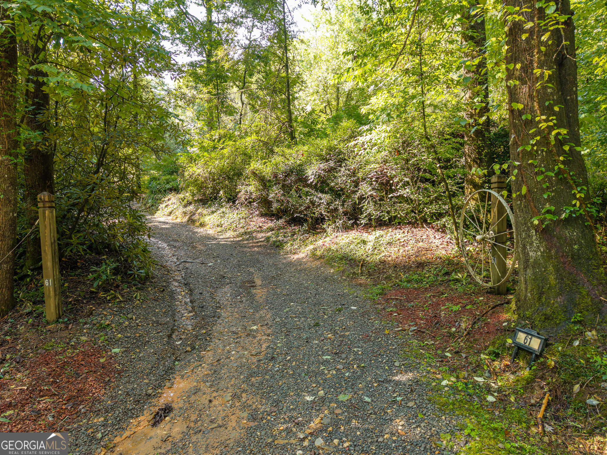 61 Wilderness Trail Property Photo 5
