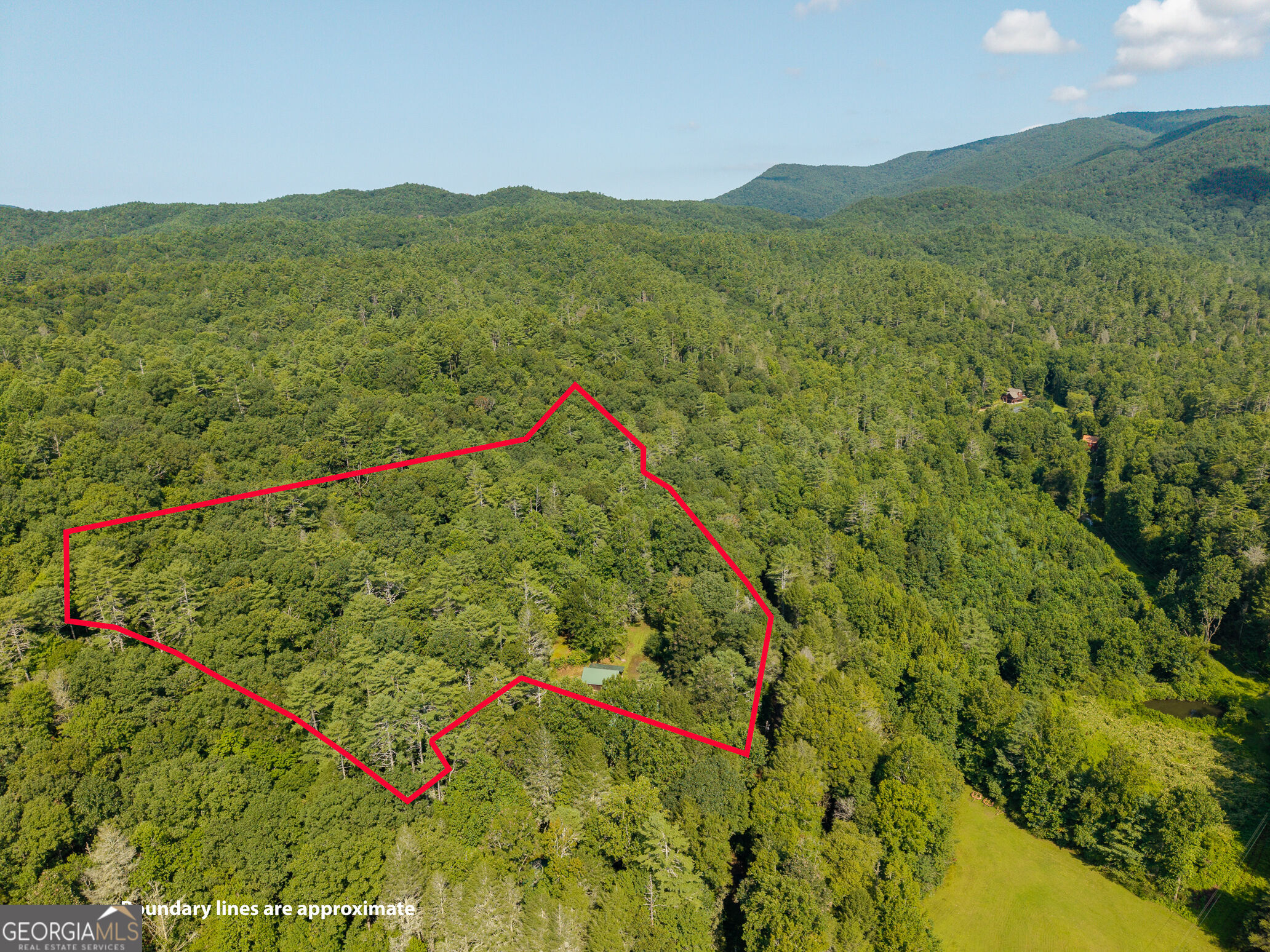 61 Wilderness Trail Property Photo 18