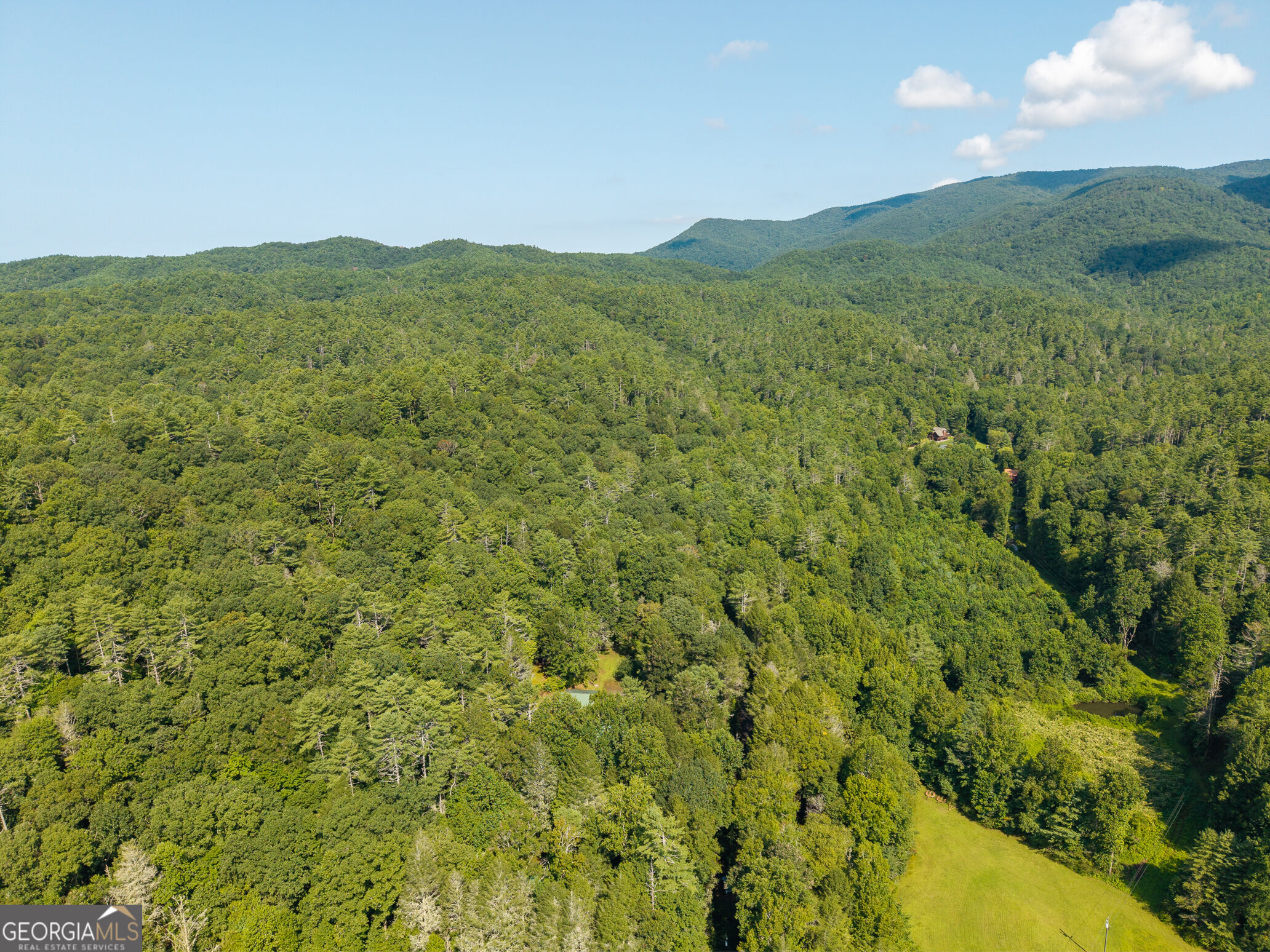 61 Wilderness Trail Property Photo 19