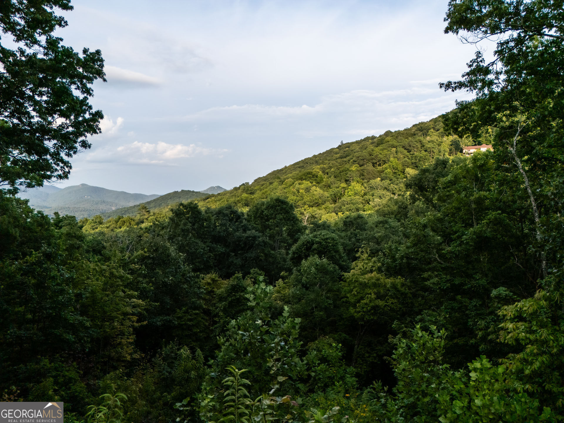 1176 Tiger Pass Drive Property Photo 3
