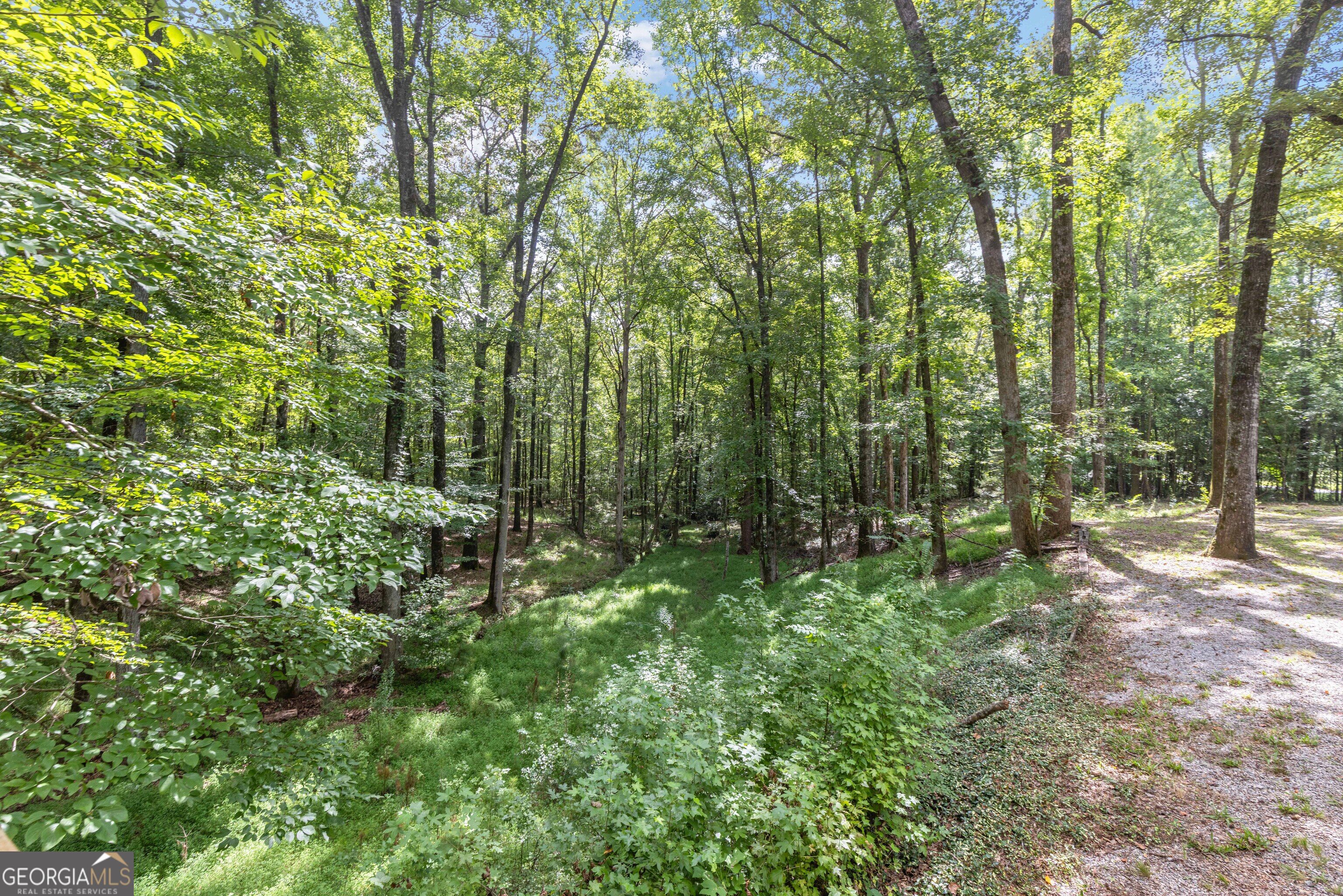 1011 Mountain Hill Road Property Photo 22